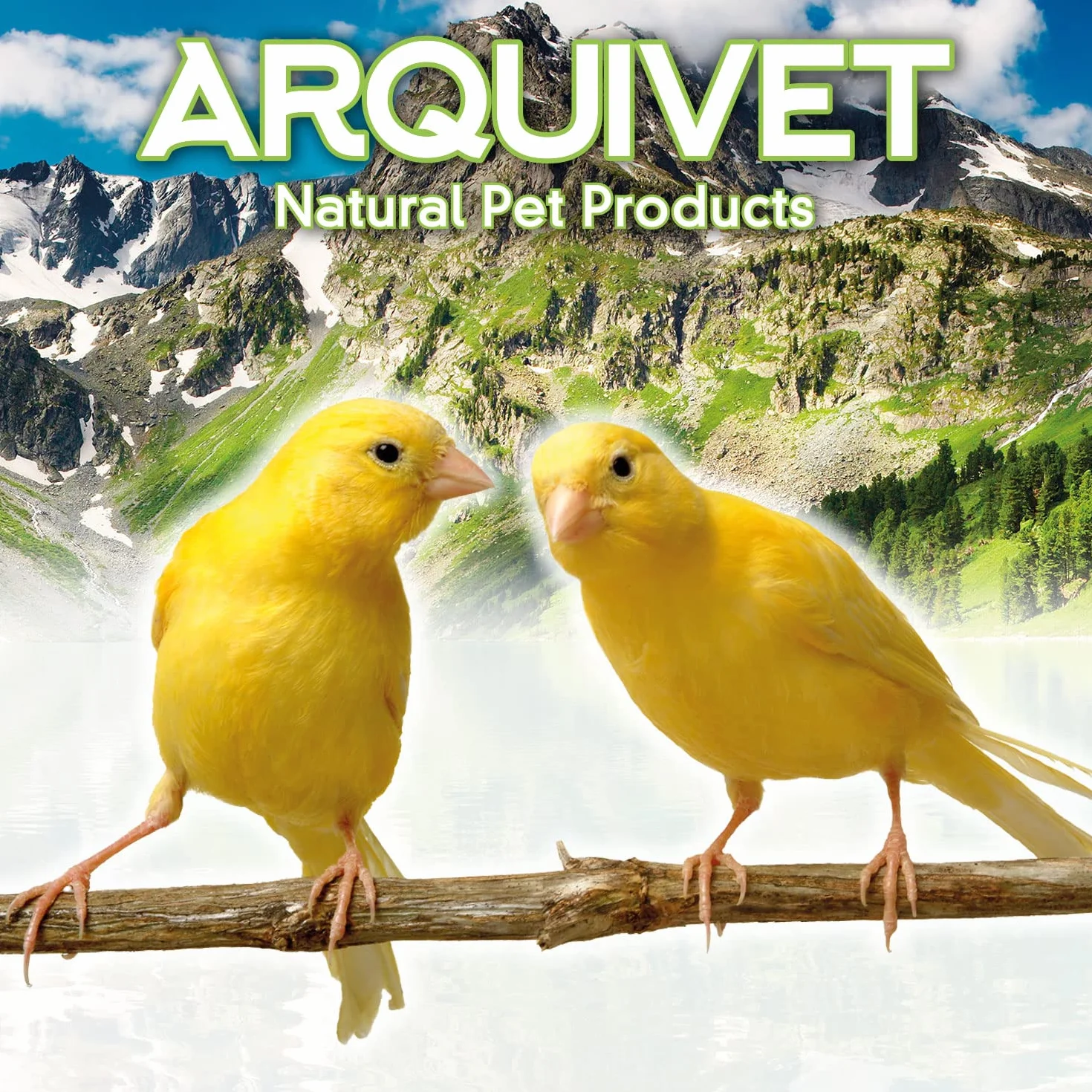 Arquivet Pasta Universal para Insectívoros y Frutívoros - Comida pájaros - 1 kg