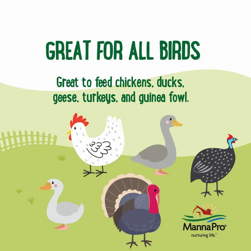 Manna Pro Farmhouse Favorites Critter Combo Crunch - Golosinas para Aves de Corral con proteínas Que promueve el Comportamiento Natural de la alimentación, Mezcla 100% Natural de Larvas Negras de