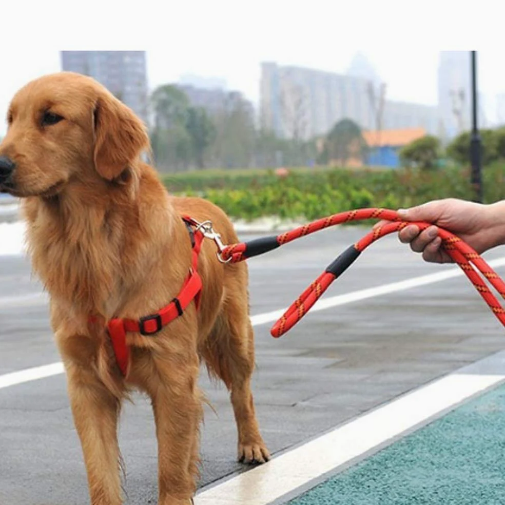 BAtlam Cadena para Mascotas Cuerda de tracción Cinturón de tracción Arnés para el Pecho Perro de tamaño Mediano Suministros para Mascotas Cuerda de tracción (Color : B) (A)