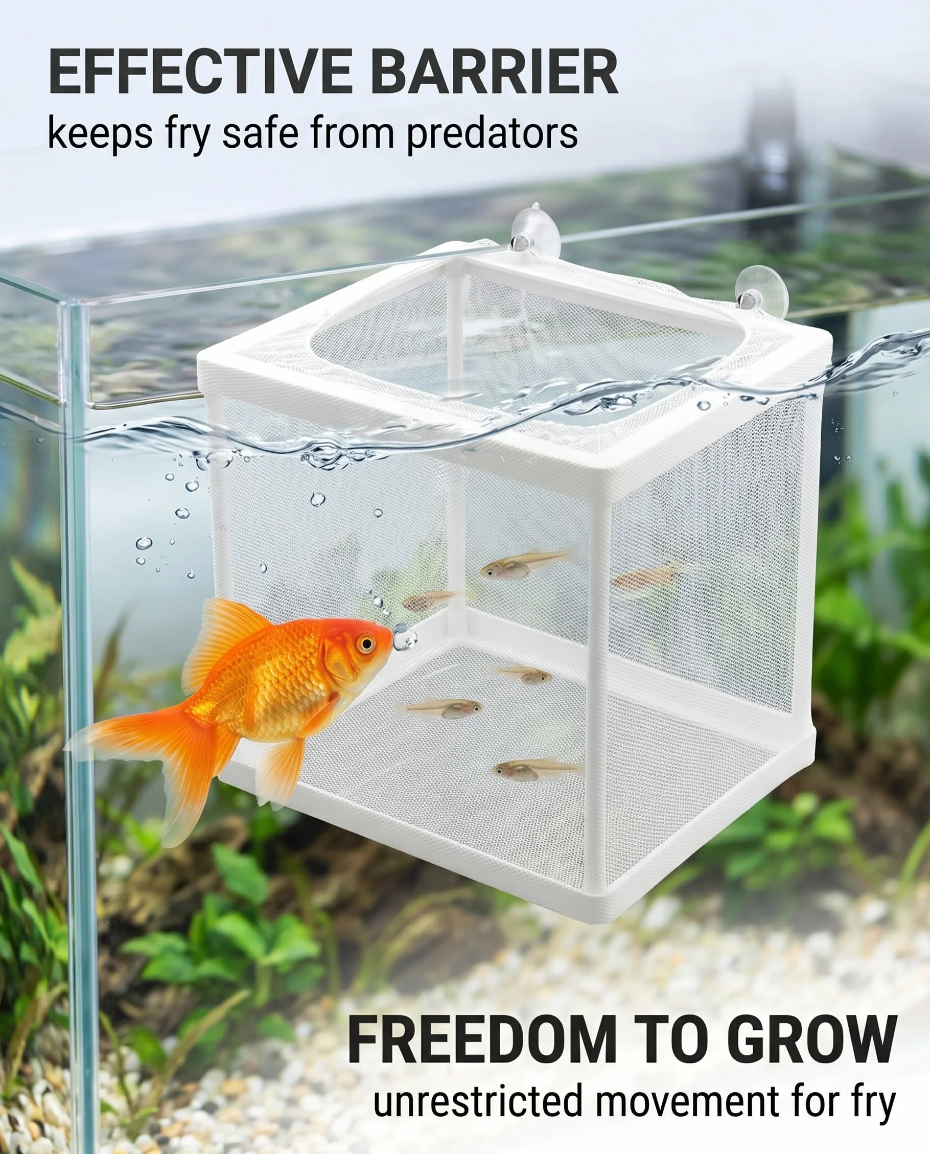 Incubadora De Peces, Caja De Cría De Peces, Acuario Criador De Red,Incubador Separador Tanque, Aislamiento De Pece con Ventosas, Cría Pece para Proteger Bebés, para Camarones Incubadors