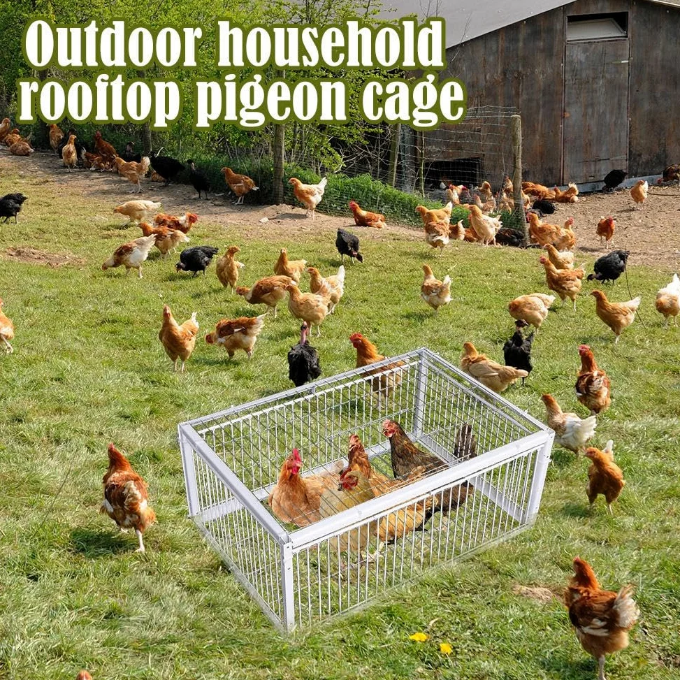 Jaula trampa para palomas, entrada unidireccional, portátil, fácil montaje, jaula de hierro resistente al óxido para palomas y pájaros, diseño a prueba de escapes, ideal para control de aves