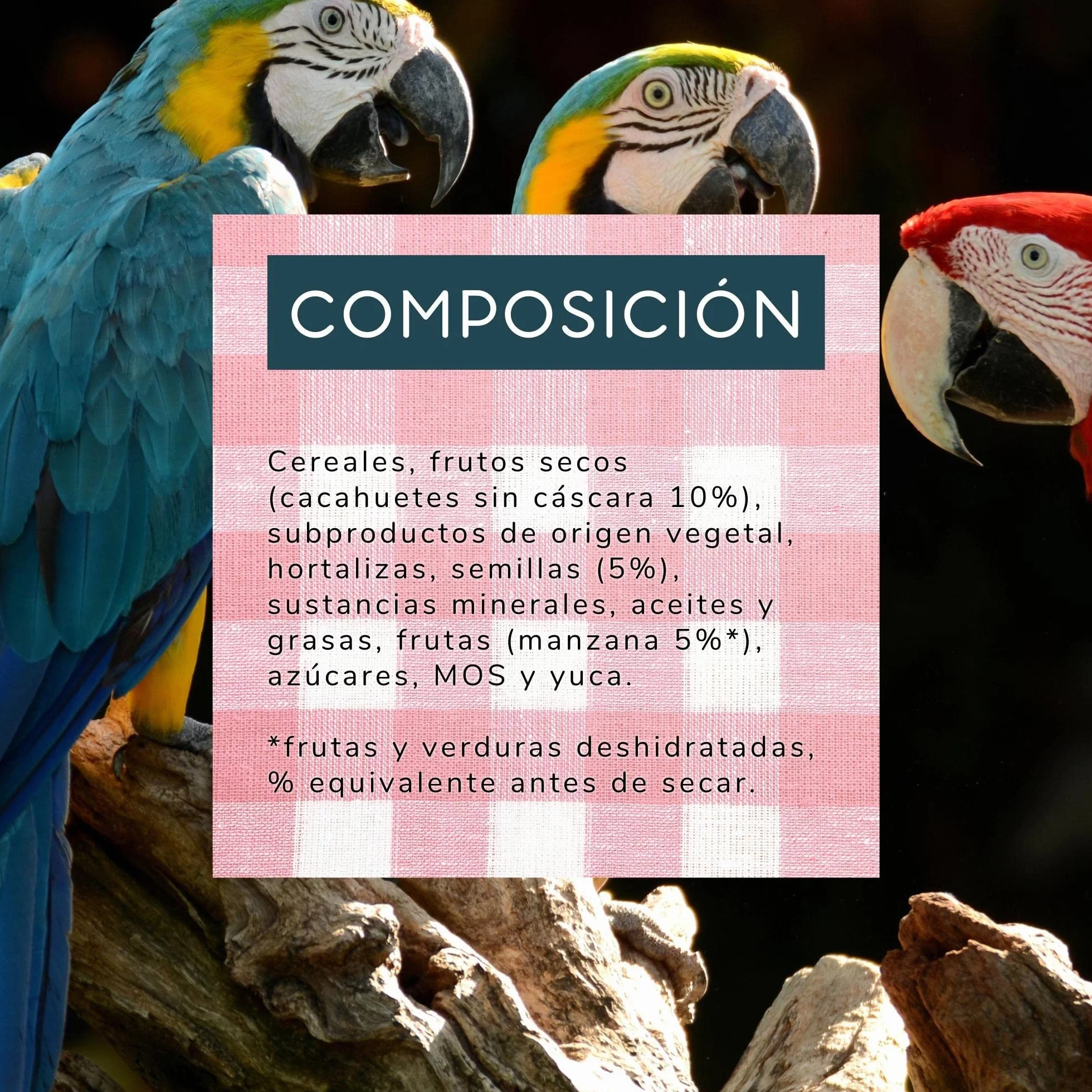 Versele-laga Comida para pájaros Versele laga NUTRIBIRD P15 Tropical - AL NUTRIBIRD P15 Tropical 1K