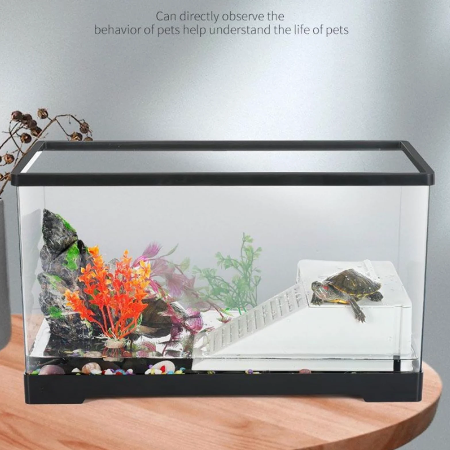 Tanque de Reptiles Caja de alimentación casera for Tortugas con separación en seco y húmedo Plataforma Secado al Sol Fácil Montaje