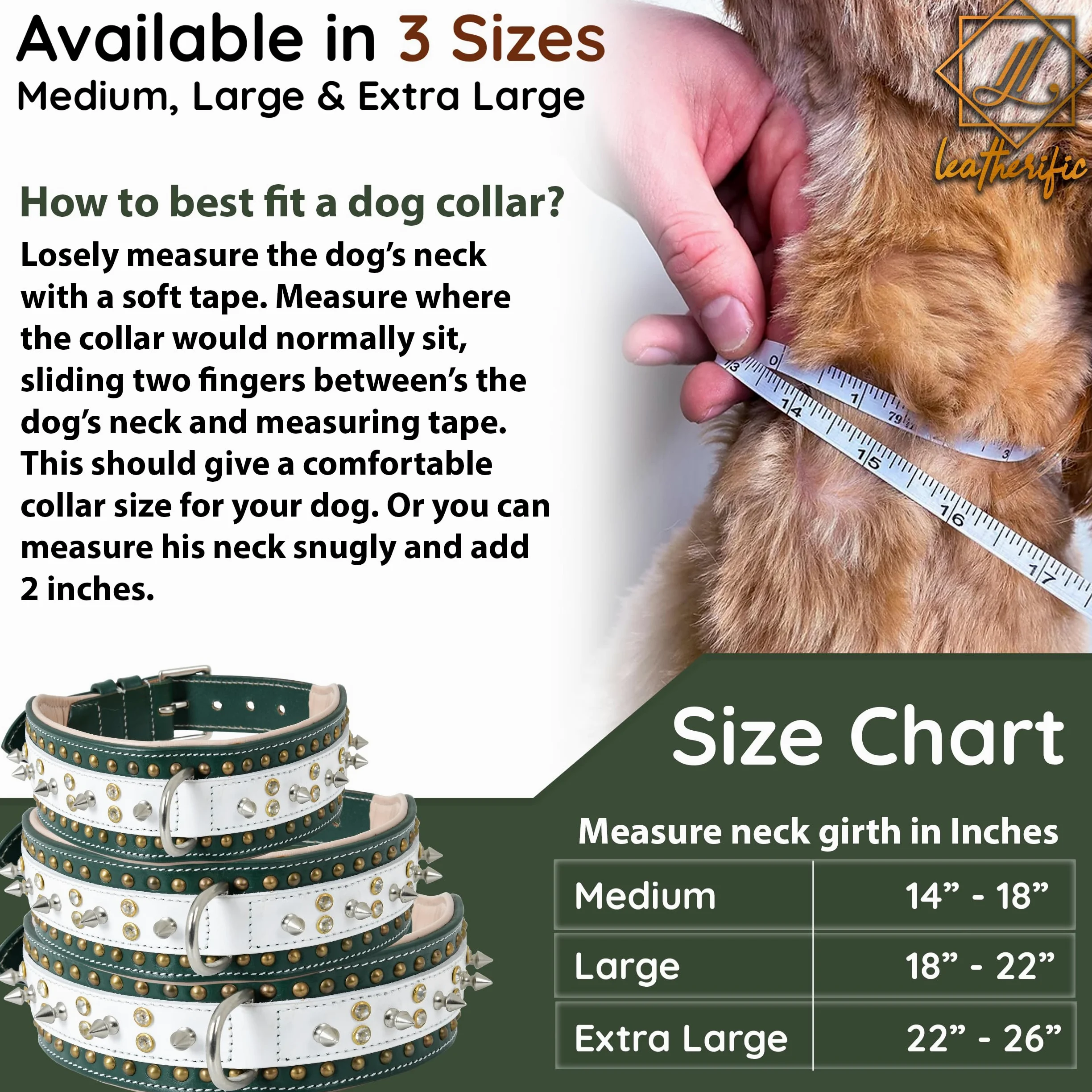 Leatherify - Collar de cuero genuino para perro, de alta calidad, resistente, acolchado, fuerte, con picos atornillados, razas medianas, grandes, extragrandes, 2 pulgadas de ancho (color verde bosque