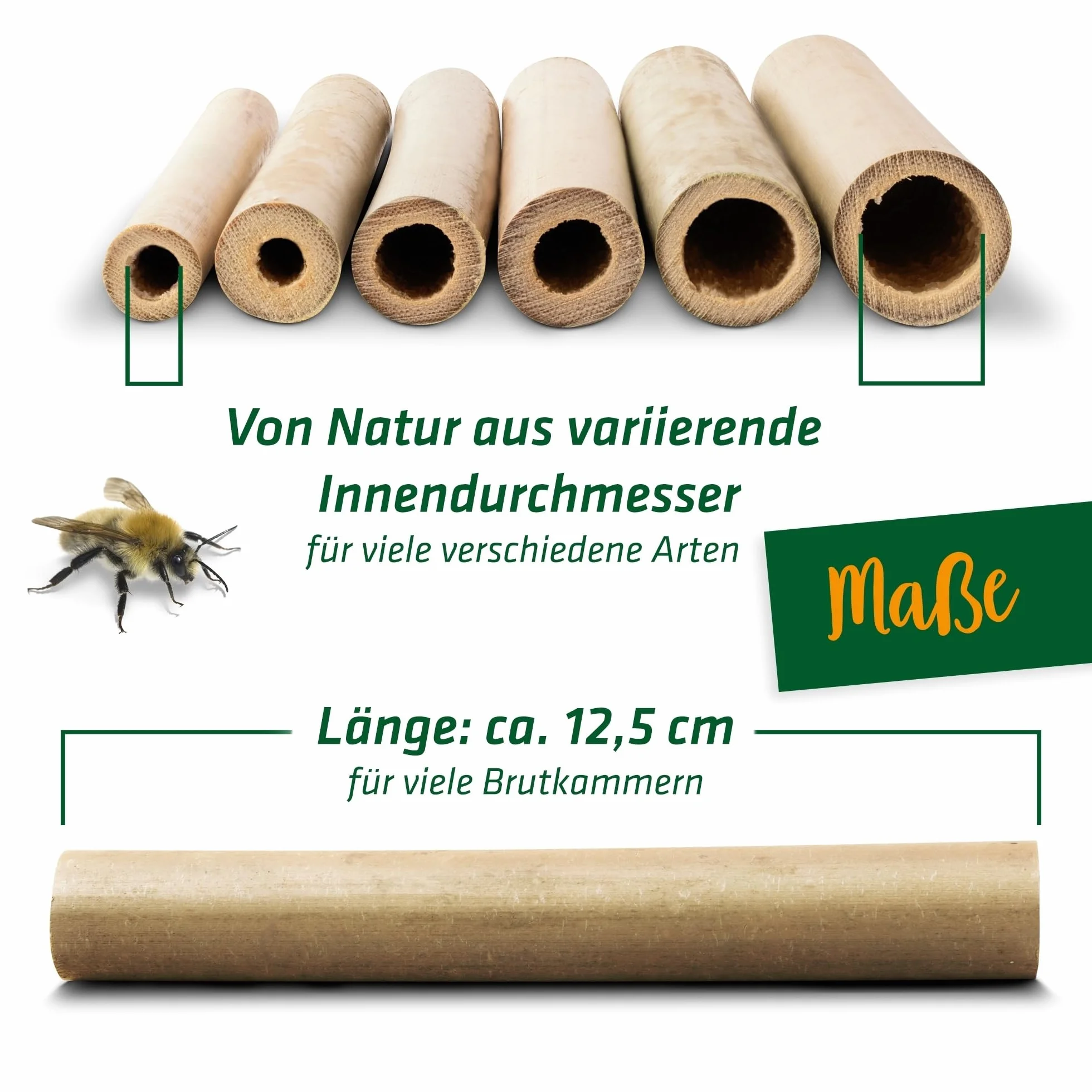 Gardigo® Paquete de 150 I Tubos de Bambú Premium I Relleno para Casa de Bichos, Casa para Abejas, Hotel de Insectos, Casas para Mariposas I Seguros para el Medio Ambiente