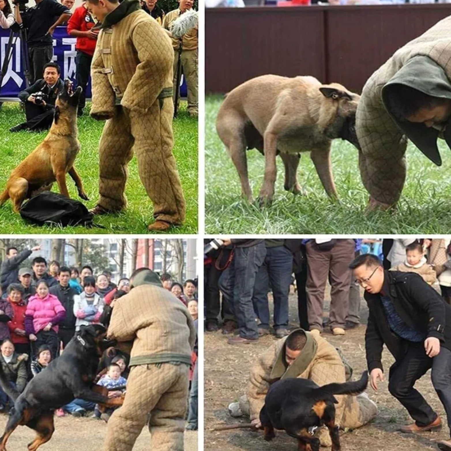 Mono antimordeduras, traje de adiestramiento canino, ropa protectora para adiestramiento canino - Traje de adiestramiento canino policía para perros medianos y grandes.,L