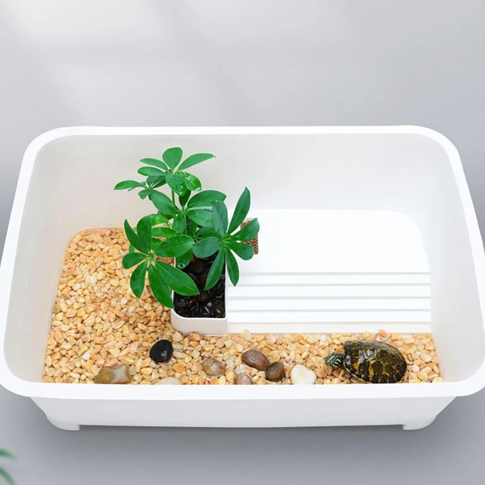 la Caja de alimentación de Reptiles, Tanque De Alimentación for Acuario con Plataforma Secado Al Sol Blanco 2 Tamaños