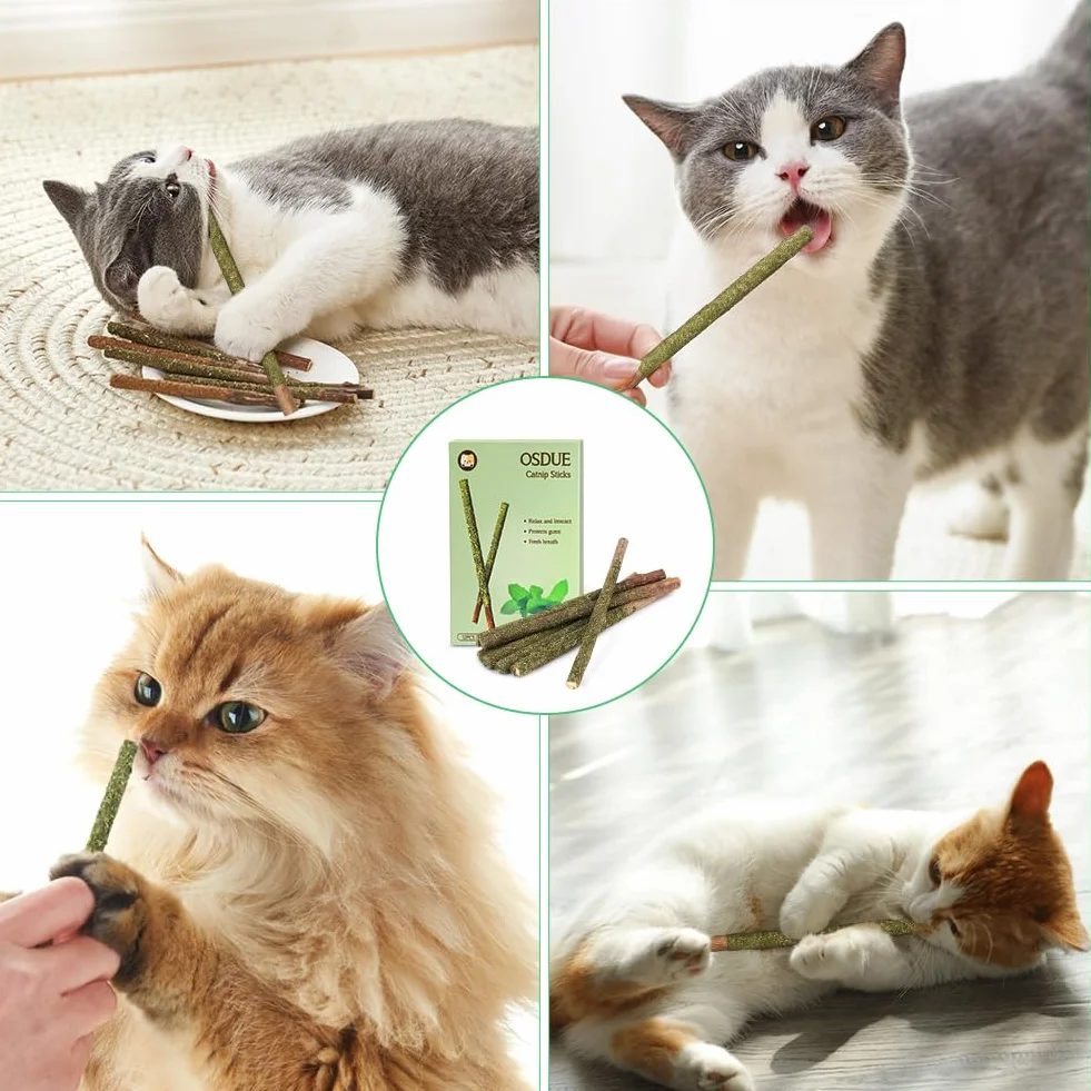 OSDUE Palitos De Hierba Gatera, 12 Masticar Palos para Gatos, 100% Orgánico Natural, para Aliviar el Aburrimiento y Limpiar los Dientes