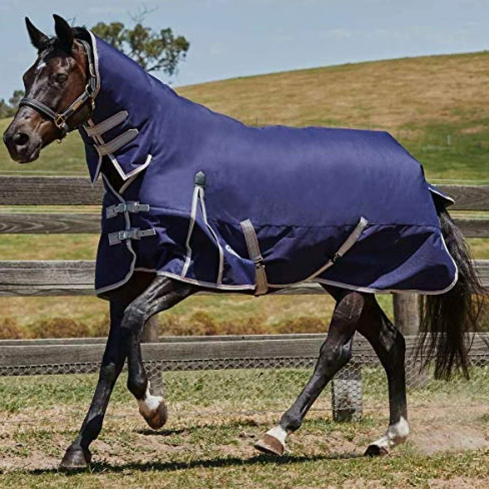 Weatherbeeta - Manta Combo de Ejercicio para Caballos ComFiTec Essential Medium (4') (Marino, Plateado, Rojo)
