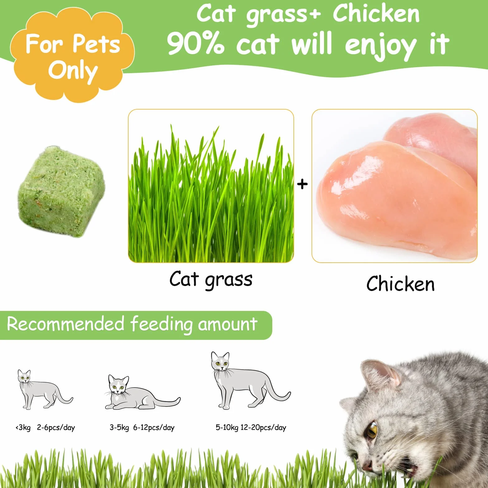 Snacks para Gatos, 60g Snack Liofilizado con Hierba Gatera para Limpiar los Dientes