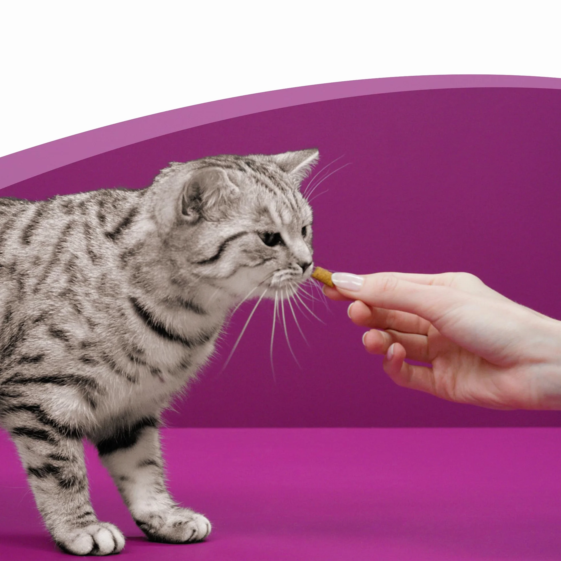whiskas Snacks Anti-Hairball para Gatos, 50g (Pack de 6)