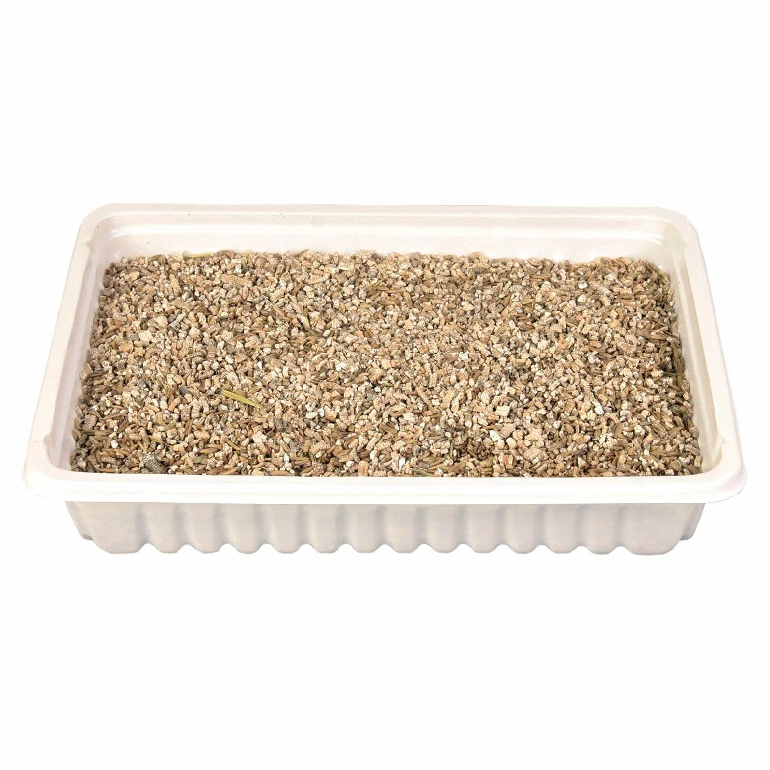 Hierba Gatos con Bandeja, 100 g