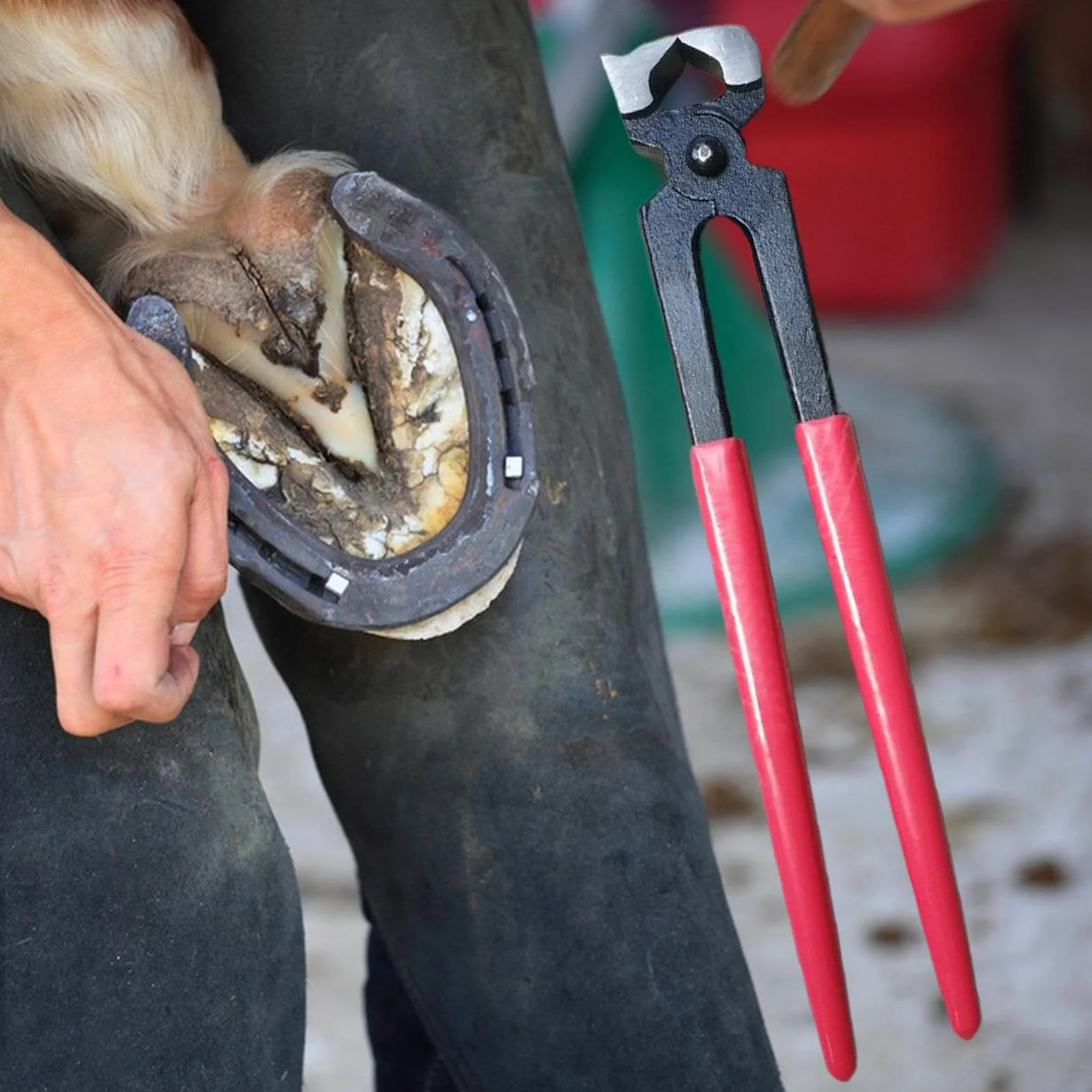 Tenazas Cortacascos para Caballos - Herramientas De Herrador Para Ganado | Recortadores para Caballos, Reparación de Herraduras, Alicates y Suministros para Pezuñas de Vacas, Ovejas y Granjas
