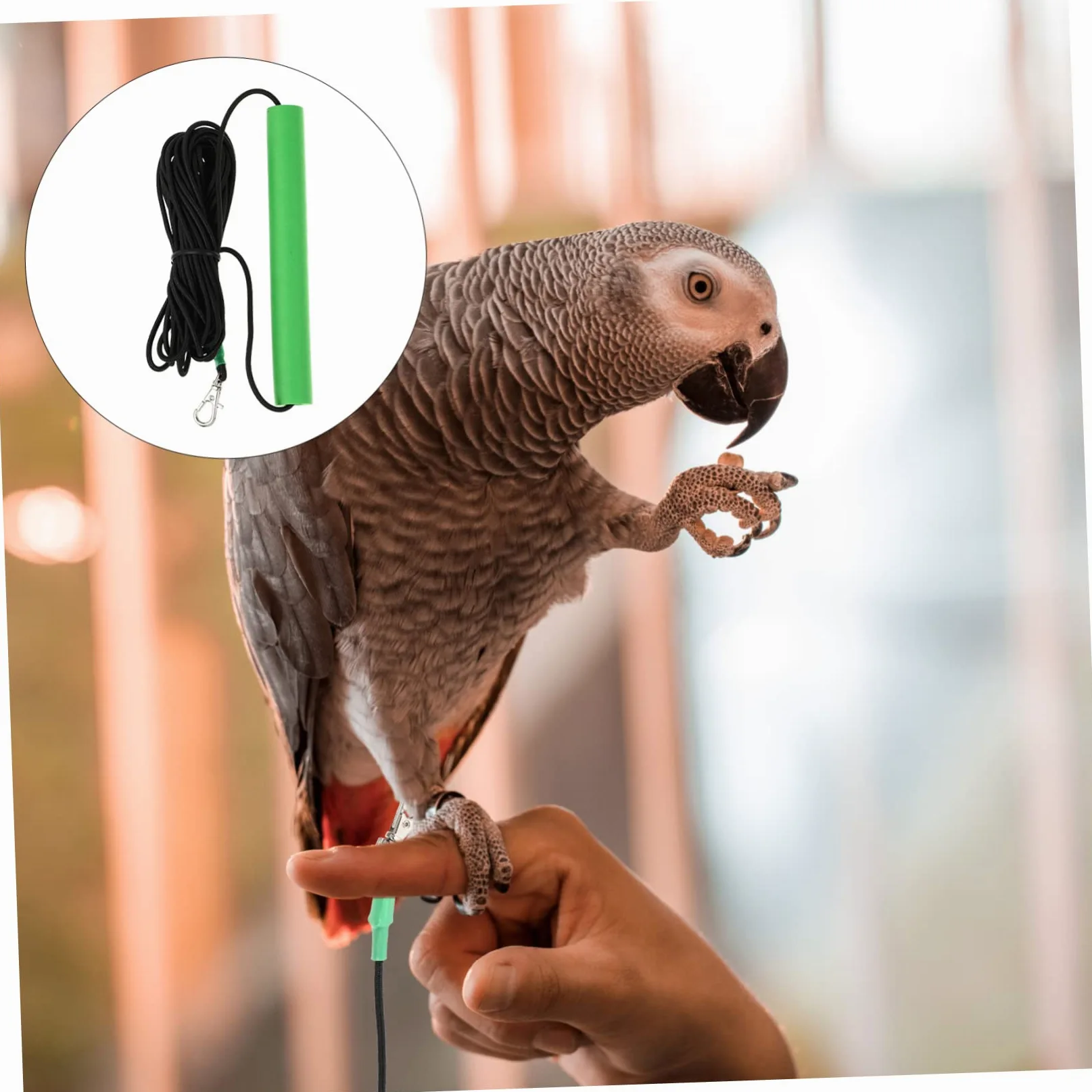 COLLBATH 2 Piezas De Loro Y Correa Juguete De Cuerda Voladora para Pájaros Cuerda De Transporte Segura para Exteriores