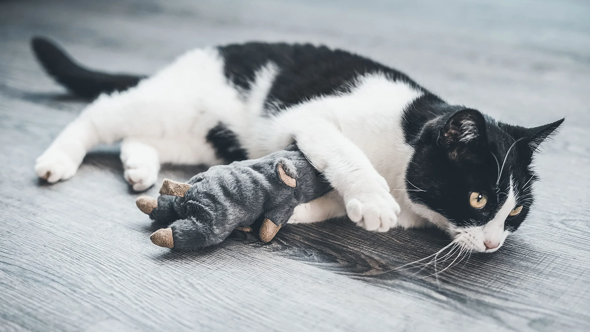 Tyrol | Juguete de Peluche en forma de Raton Gigante | Juguetes para Gatos Hechos de Papel Crinkle y Catnip| Ayuda al Desarrollo Físico y Mental del Gato | Tamaño de 20 cm | 1 unidad Gatos Accesorios
