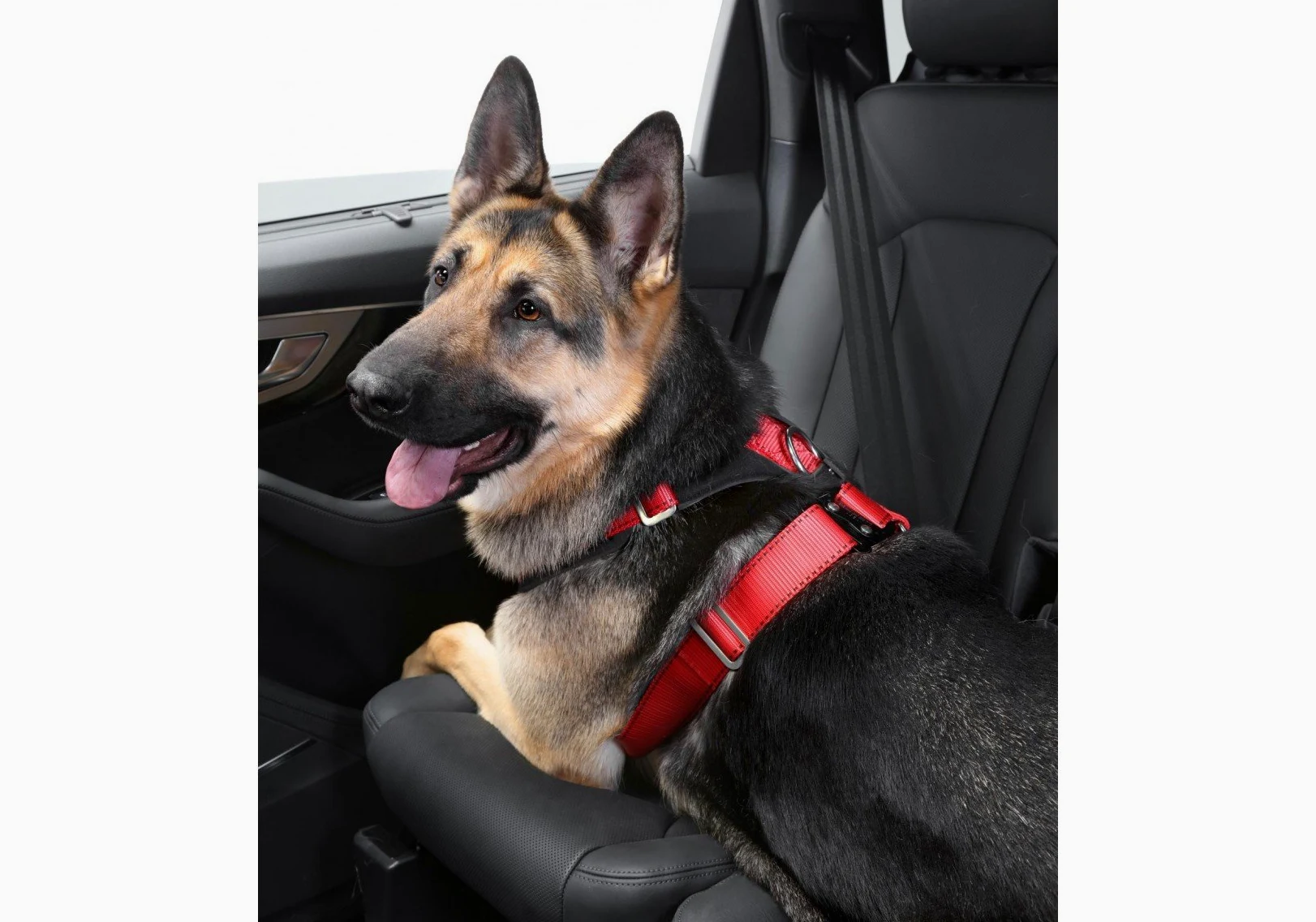 Kleinmetall Allsafe Comfort - Cinturón de Seguridad para Perros (Talla L)