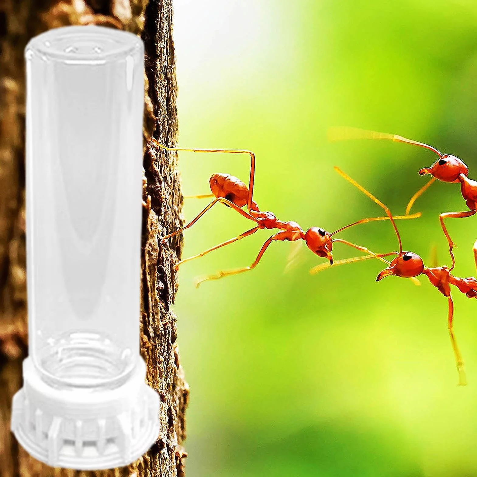 Dispensador De Agua para Hormigas - Bebederos Transparentes para Hábitat De Mascotas - Estación Portátil Antifugas con Accesorios Antideslizantes para Hormigueros Y Pequeñas Mascotas De Interior