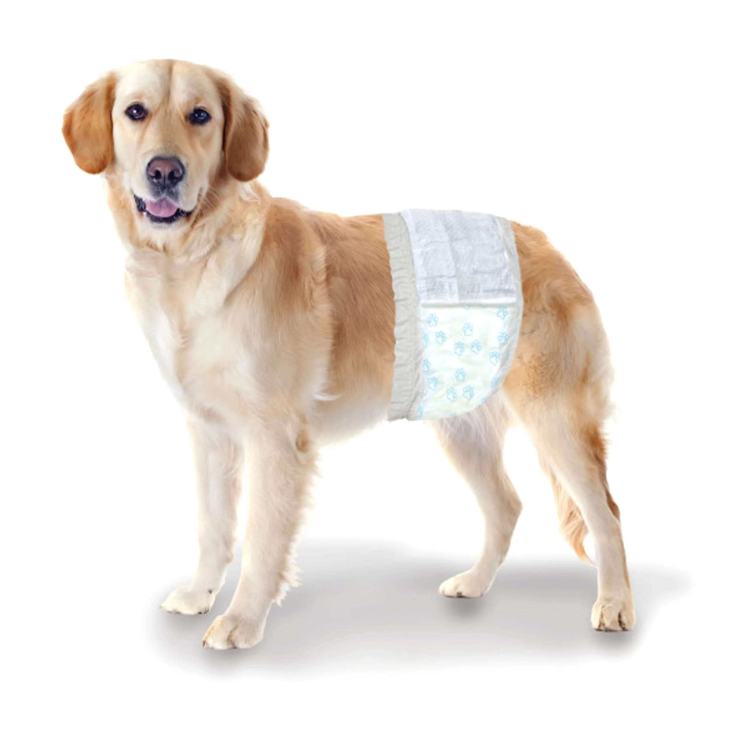Four Paws Wee-Wee - Envolturas Desechables para Perros machos medianos/Grandes (12 Unidades)