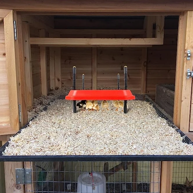 Lámpara de Calor para Pollitos, Calentador, Caja criadora de Aves de Corral, lámpara de Calor para Pollitos, termostato (12" x 12"), 20 Pollitos