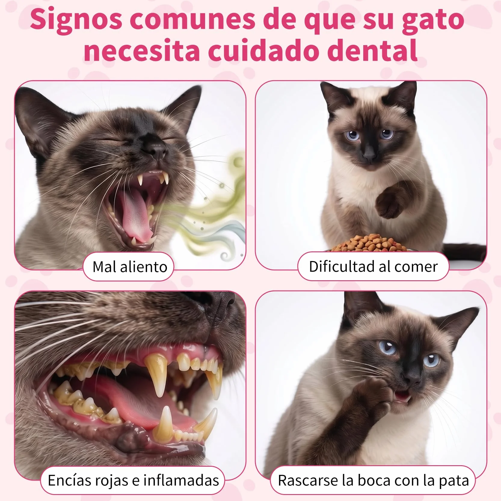 Pasta de Dientes Enzimática para Gatos - Kit Dental con Cepillo, Gel Sin Perfume contra la Placa y Mal Aliento, Previene el Sarro - 30g