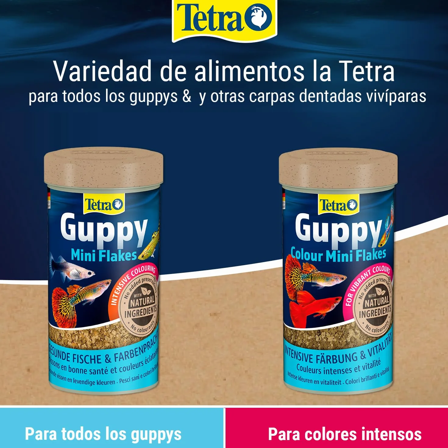 Tetra Guppy Mini Flakes - comida equilibrada y rica en nutrientes para guppys, lata 250 ml