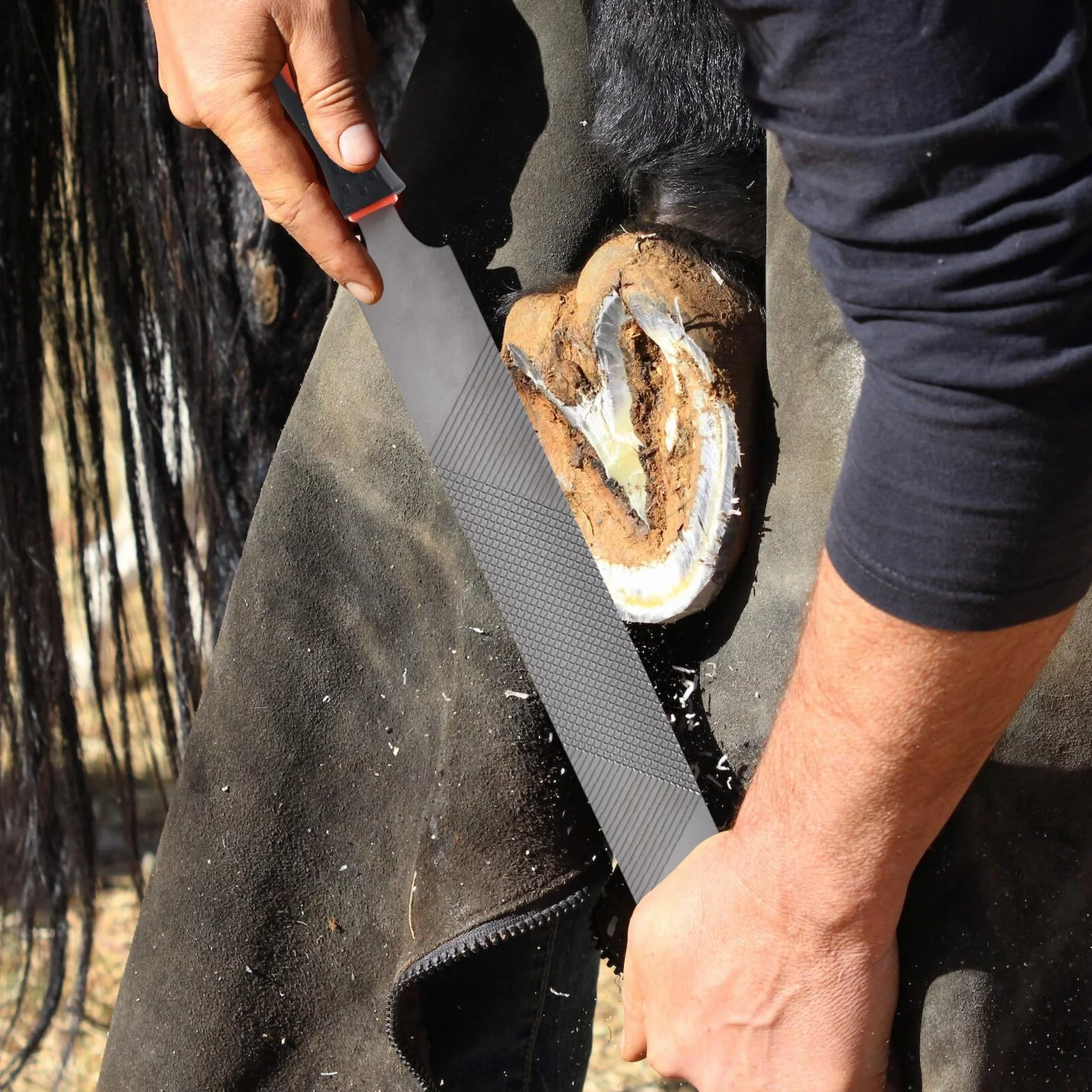 Escofina para Pezuñas de 32 cm con Mango de Goma, Cuidado de Caballos, Lado Fino y Grueso