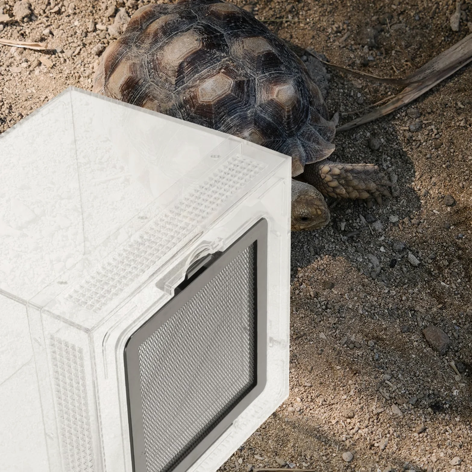 Terrario Pequeño para Reptiles y Mascotas Agujeros Transpirables, Acrílico Transparente Fácil de Observar, Adecuado para Incubadora y Hábitat Doméstico