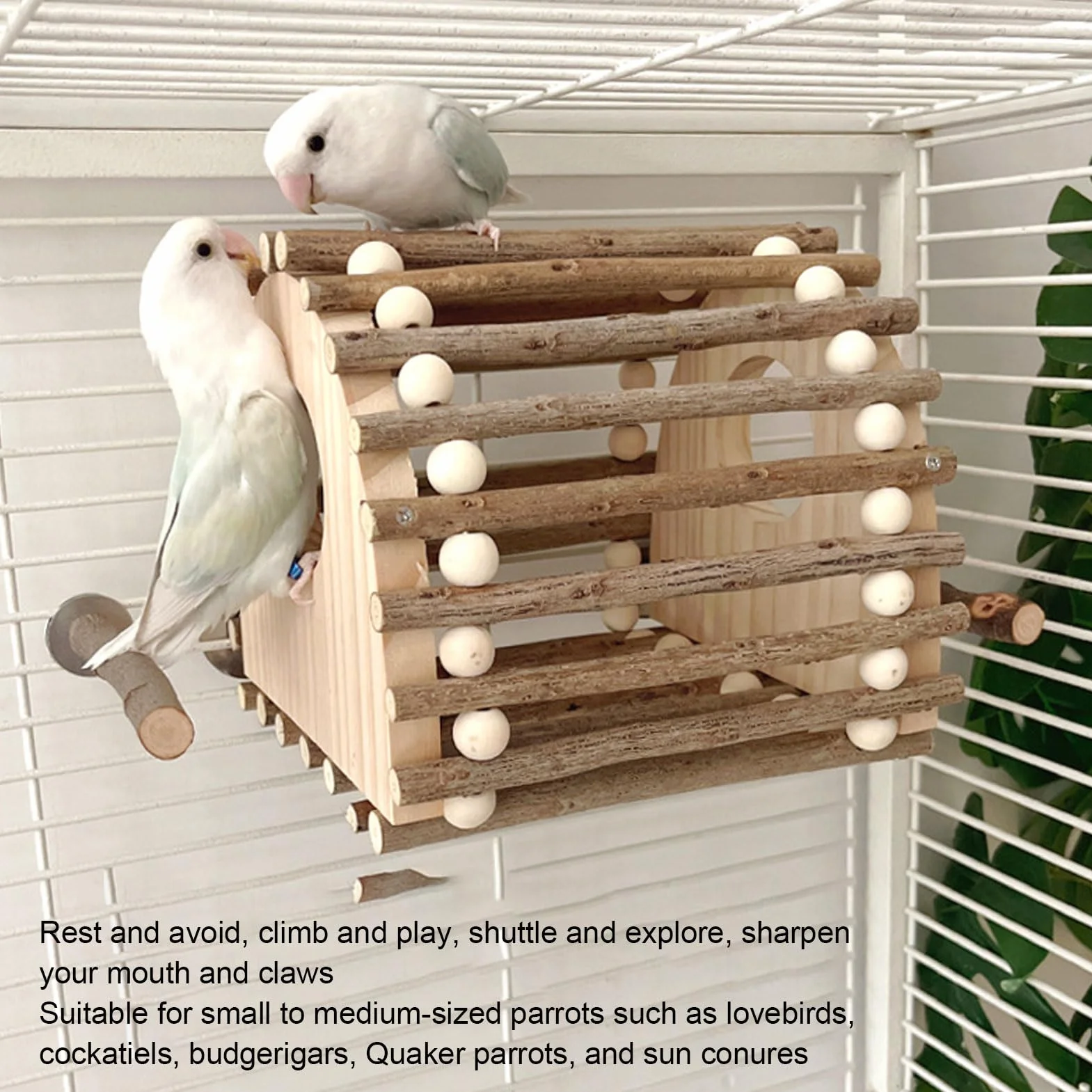 FILFEEL Juguete para Trepar Pájaros para Loros y Hámsteres - Casa con Escalera de Madera de Doble Orificio con Espacio de Descanso Ventilado, Madera de Pino, 7,87 X 6,69 X 7,87 Pulgadas