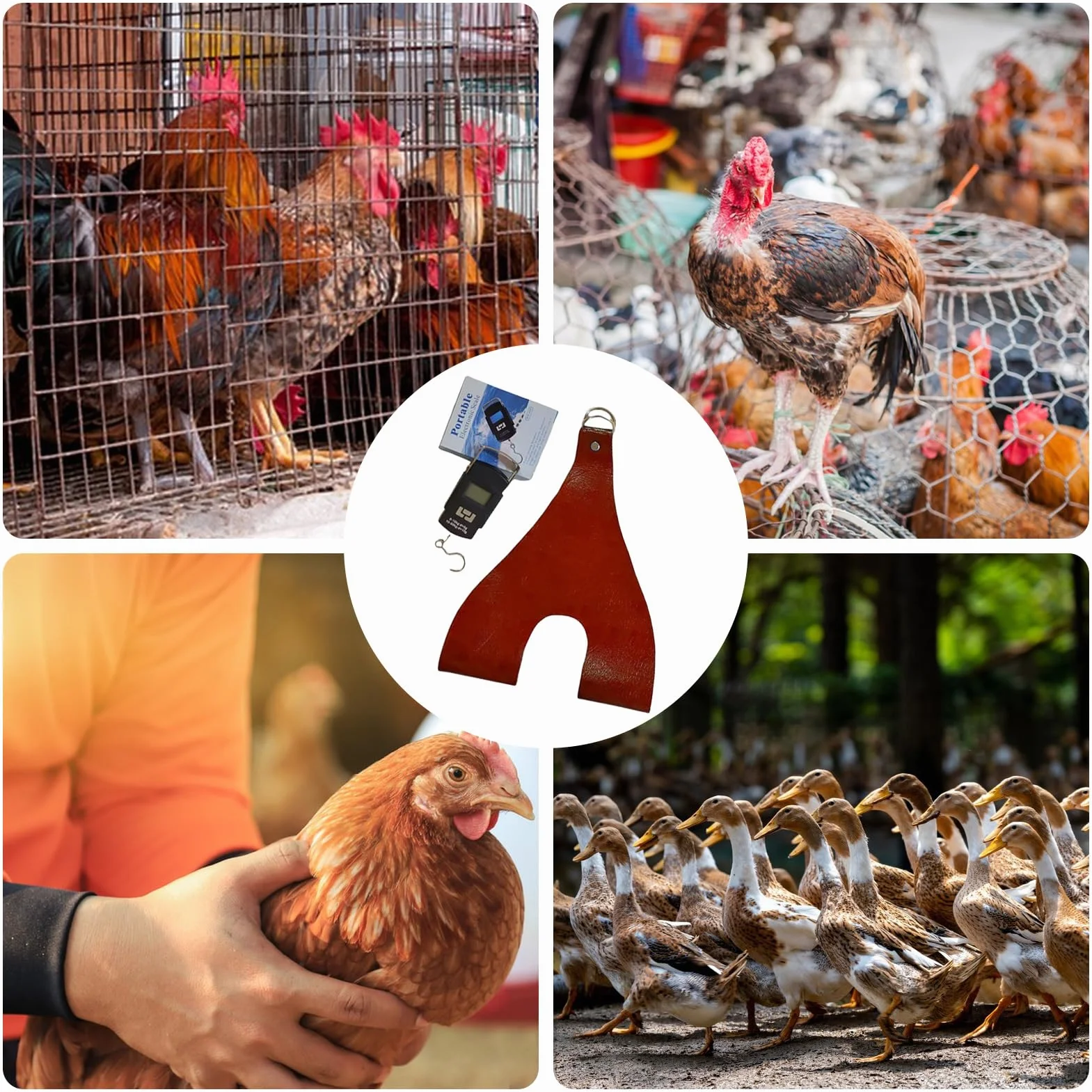 Eslinga para Soporte De Pollo: Eslinga para Gallina con Báscula De Peso Incorporada, Arnés De Pesaje De Aves De Corral Ajustable para Animales Pequeños, Eslingas De Báscula Duraderas Y Colgantes para