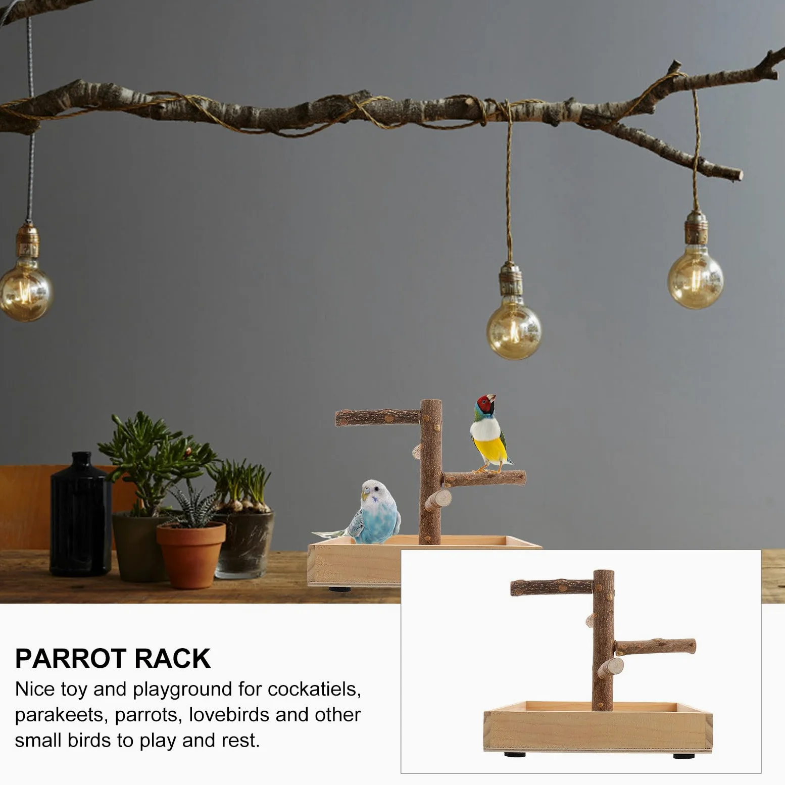 Percha de Madera para Loros Pequeña, de Pájaros Resistente y Seguro, Juguete de Entrenamiento para Aves Pequeñas como Periquitos y Canarios, Adecuado para Jaulas Interiores