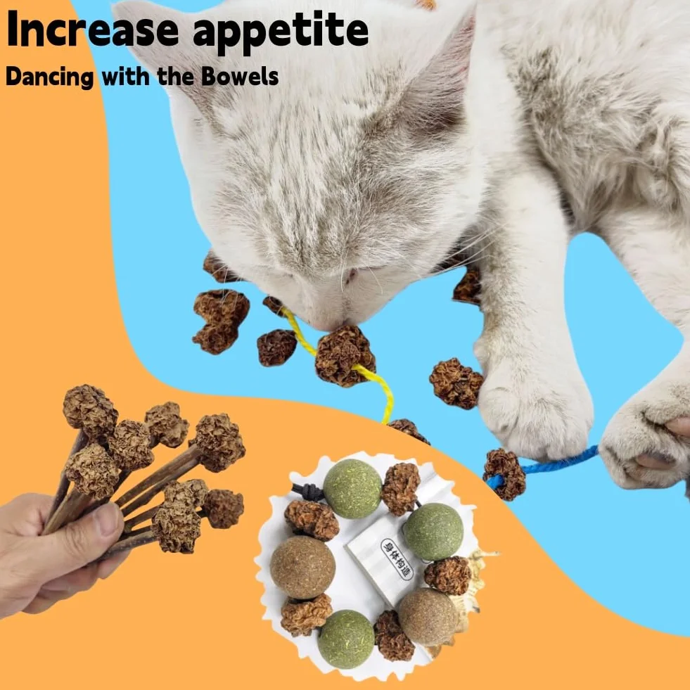 Frutas Matatabi,20pcs Juguetes para Gatos para Limpieza de Dentición,Cat Teething Toys,Snack Gatera para Limpiar Dientes