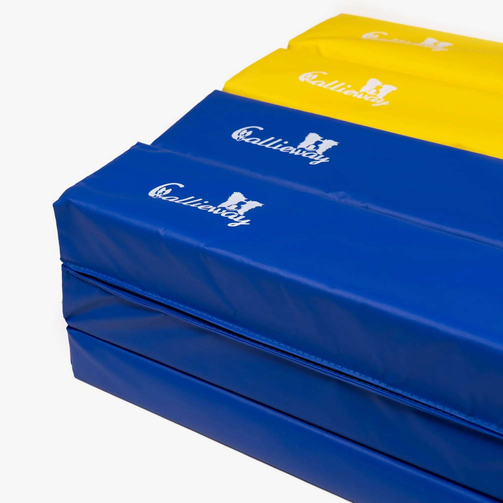 Runway - Callieway Soft Ground Work Lanes (4-Pack) with Foam Filling, Incl. Transport Bag, for Horse and Dog Training.
