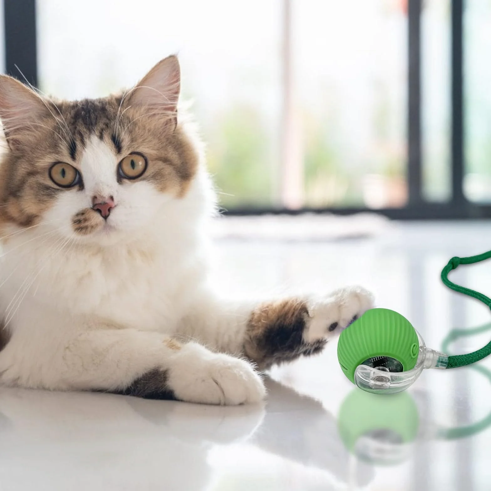 WinGlue 2 Piezas Juguete Interactivo para Gatos, Pelota Eléctrica, Cat Toy Ball, Interactiva Rolling Ball, Automático (Rojo+Verde)