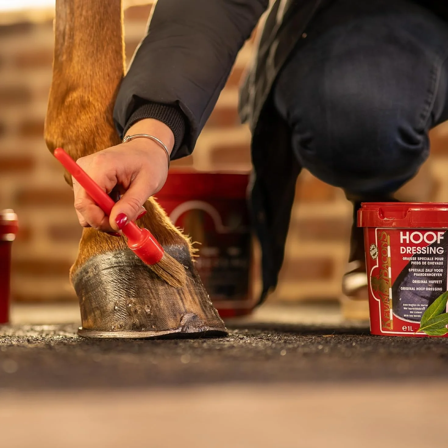 Ungüento para Cascos, de Kevin Bacon (1 L)