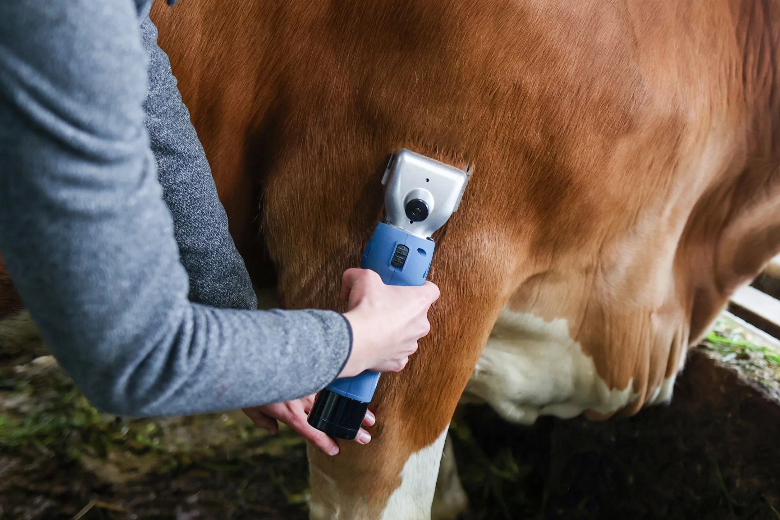 Clipster Esquiladora inalámbrica FarmClipper Akku2, para animales, incluye 2 baterías, azul, 28,5 x 8 x 8 cm, para esquilar ganado, veterinarios, 120 minutos de duración de la batería