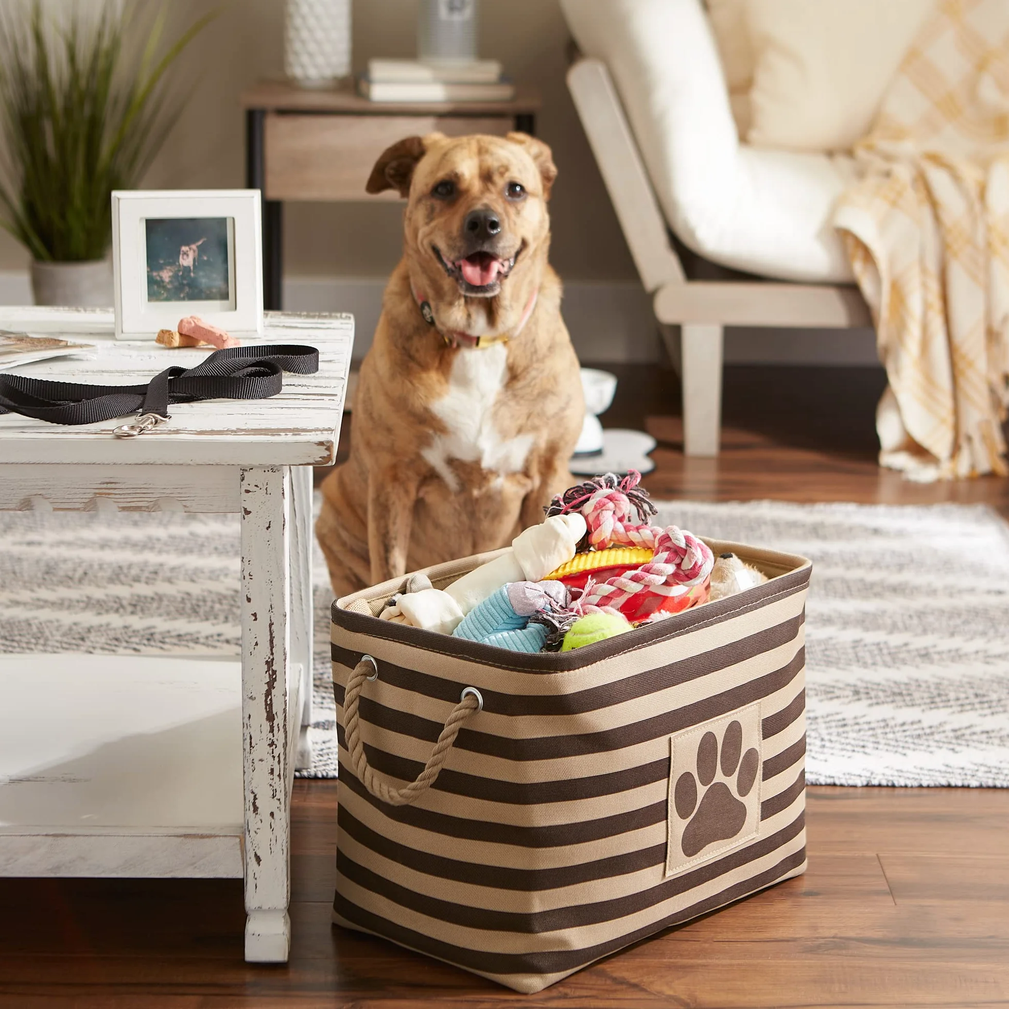 Bone Dry DII - Cesta de Almacenamiento para Juguetes de Mascota, para decoración del hogar y Uso Diario.