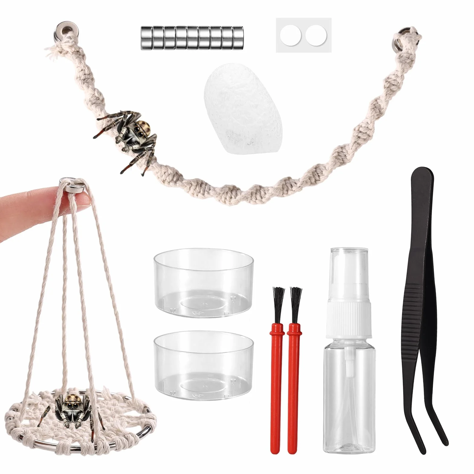 18uds Accesorios Araña Saltarina Terrario Juego, Columpio de Cuerda de Algodón Plataforma con Nido Bebedero Pinzas Pulverizador Cepillo e Imanes para Decorar Tu Terrario
