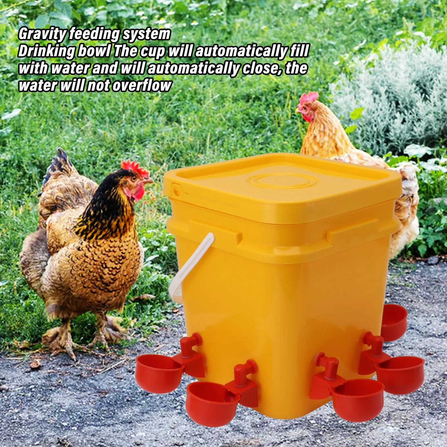 Bebedero Automático para Pollos, Equipo para Beber, Bebedero para Aves de Corral, Ganso, Pato, Barril, Taza para Cría de Pollos, Bebederos (Cubo + Tazón Azul Grande + Tornillos