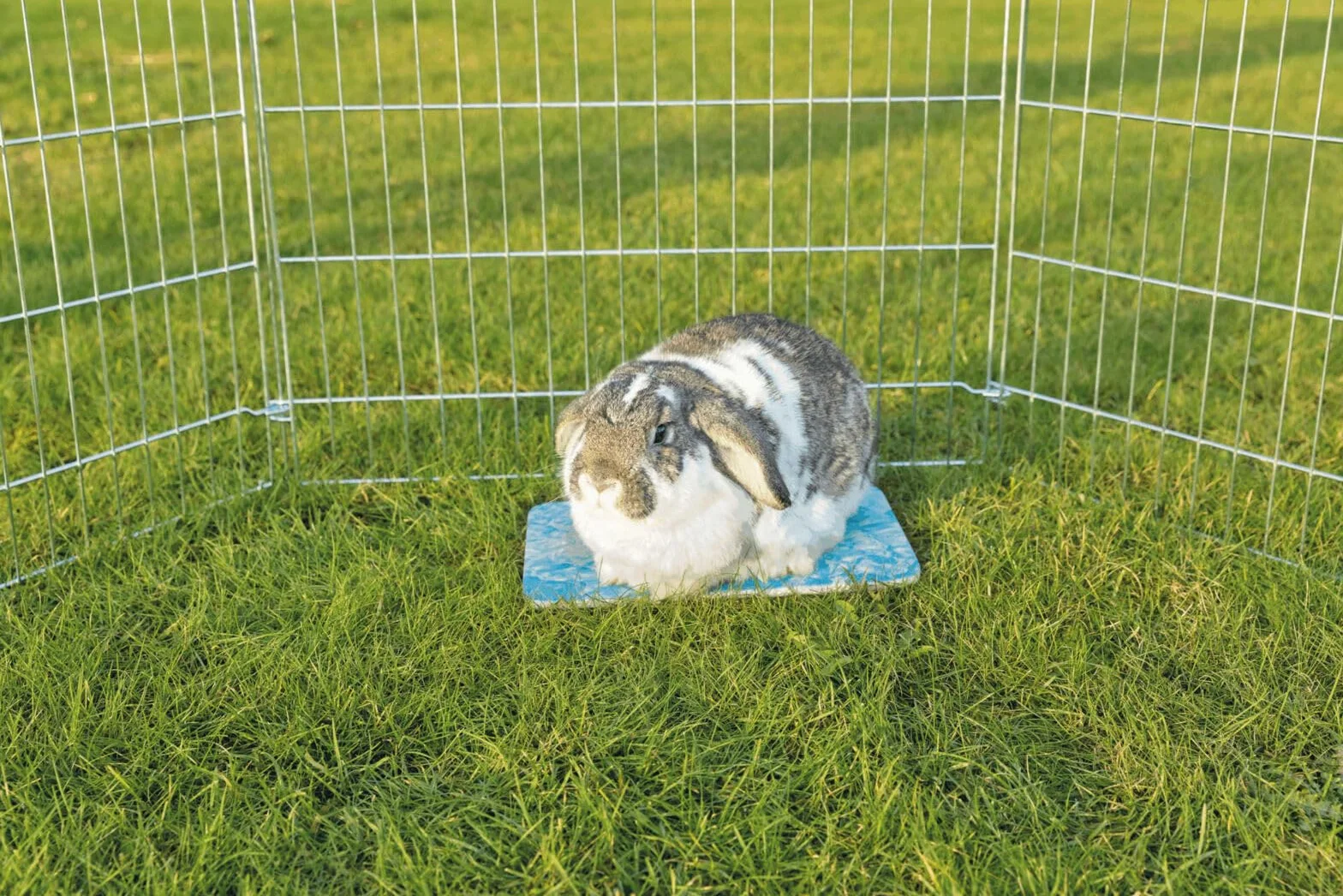 TRIXIE Alfombrilla Refrescante para Pequeños Mamíferos