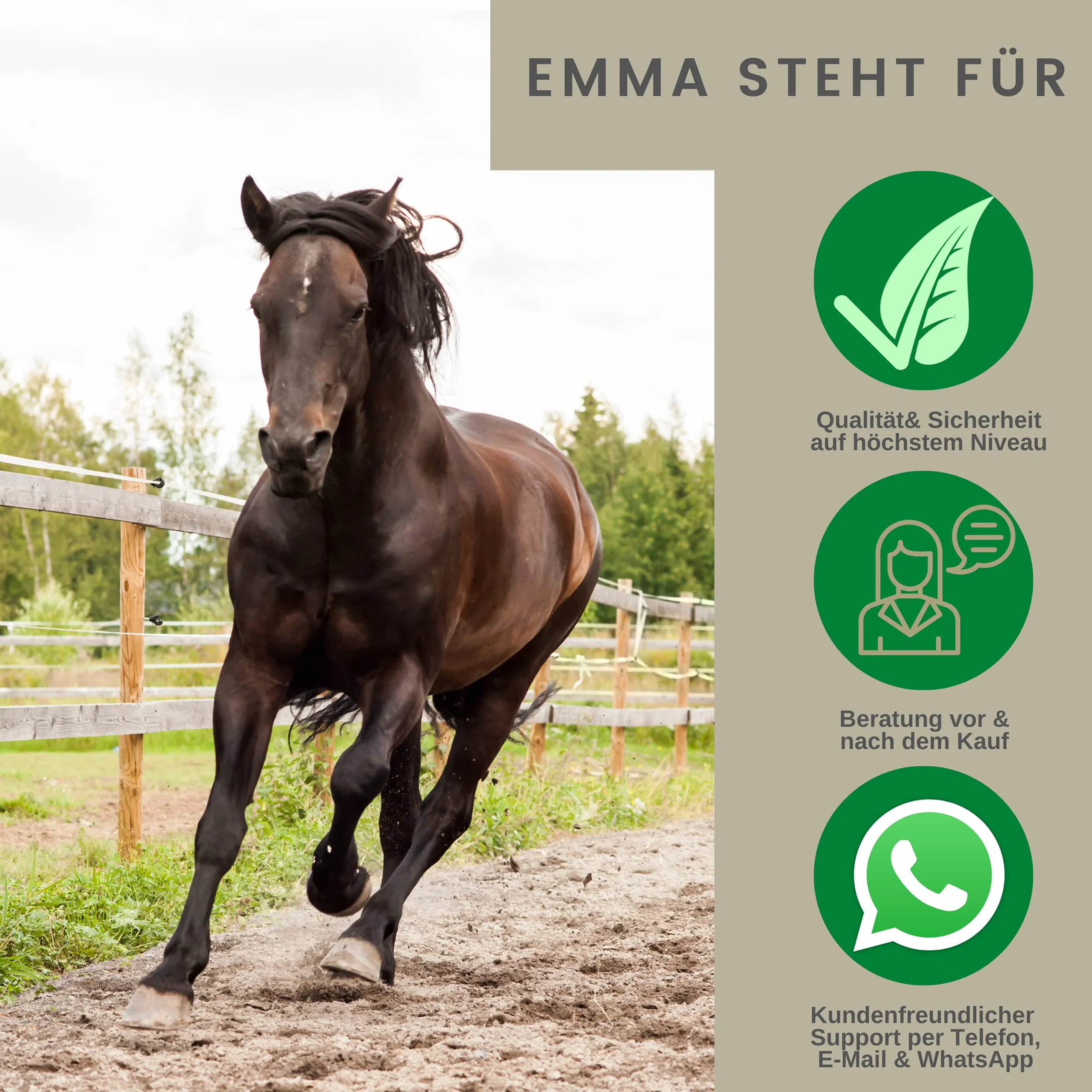 Cuidado de la rana para los caballos I Protección de la rana I Cuidado de los cascos I Casco, suela de la rana I Gel I Prevención de la podredumbre I Medios para proteger el cuerno de la rana 100ml