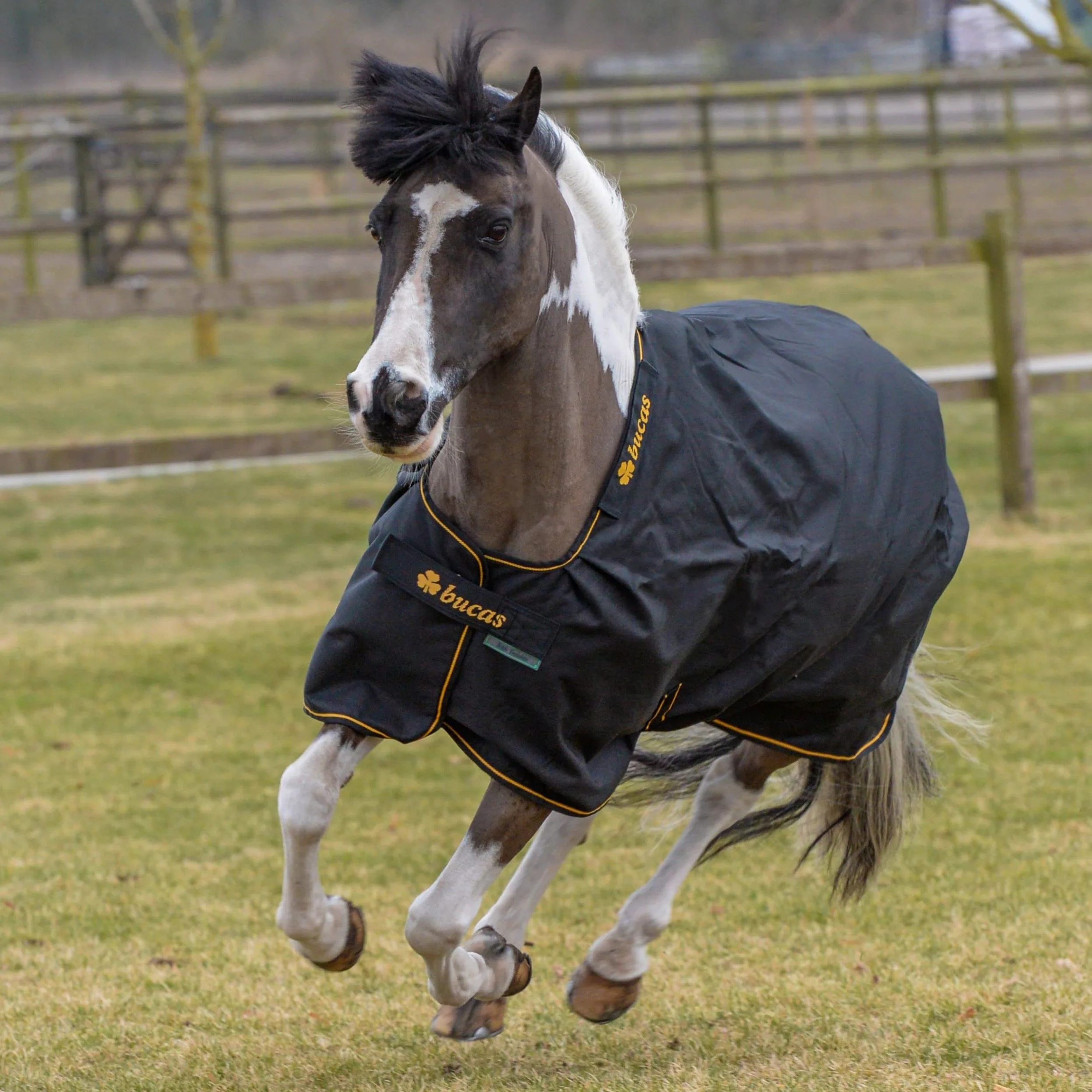 Bucas IrishTurnout - Manta para Caballo, 300 g, 165 SW/Gold