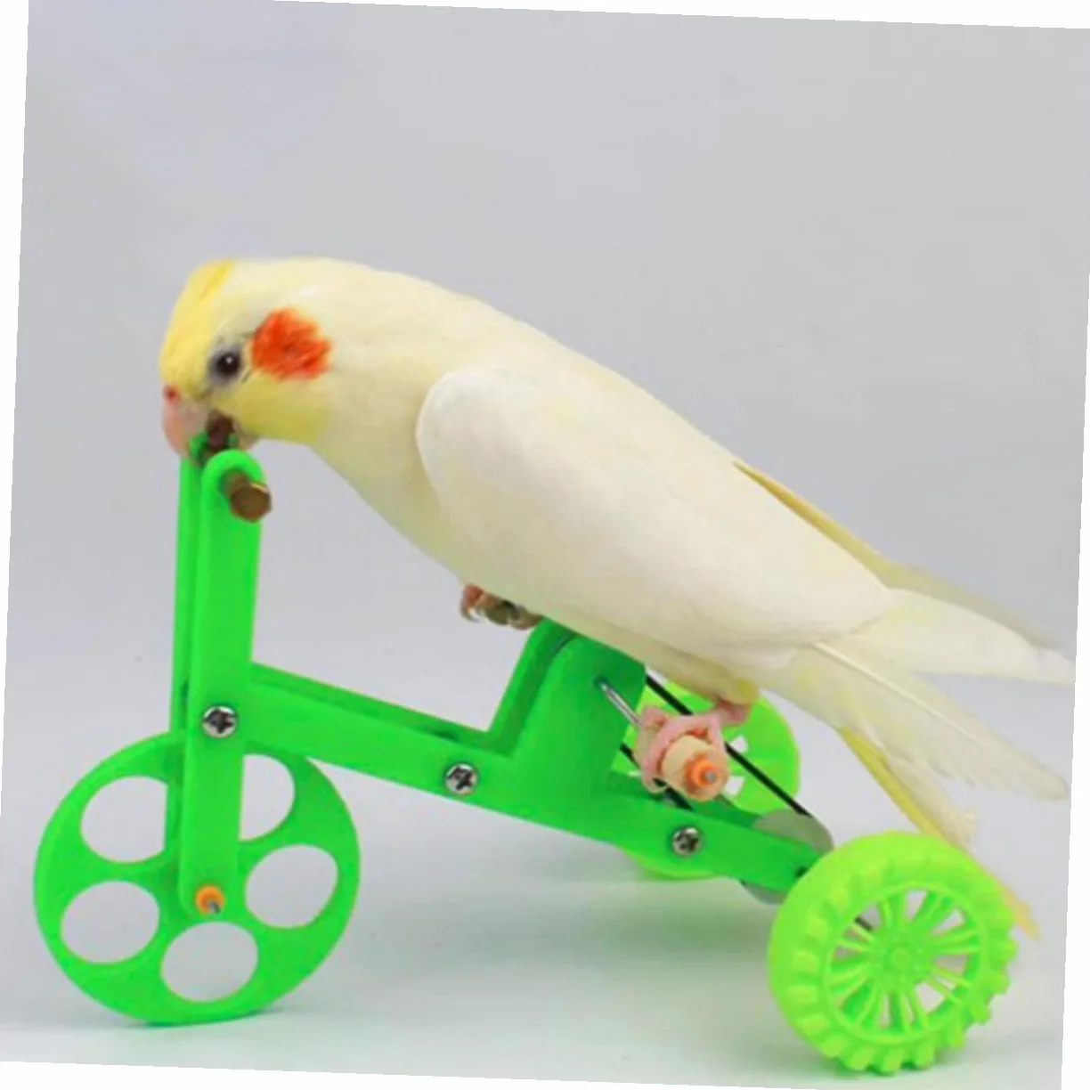 VANZACK 4juegos Juguete De Entrenamiento De Inteligencia para Aves Bicicleta y Anillo Interactivo para Periquitos y Loros para Estimulación Mental y Diversión Educativa