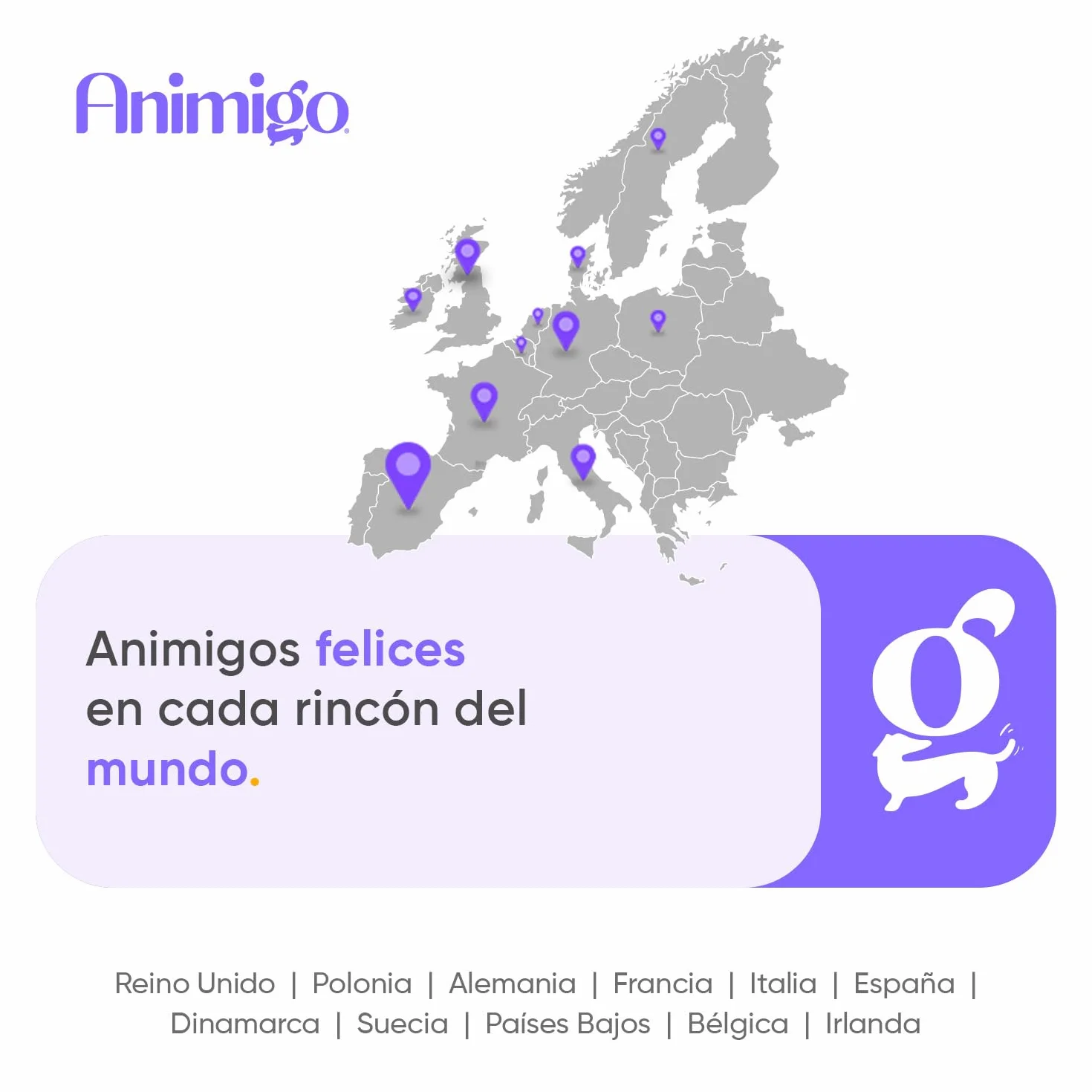 animigo Antiparasitario en Polvo para Gatos 100g Sabor Pollo - Protección Natural Antipulgas y Antigarrapatas Muy Fácil de Suministrar Formulado con Ingredientes Naturales, Vitaminas Grupo B y Zinc