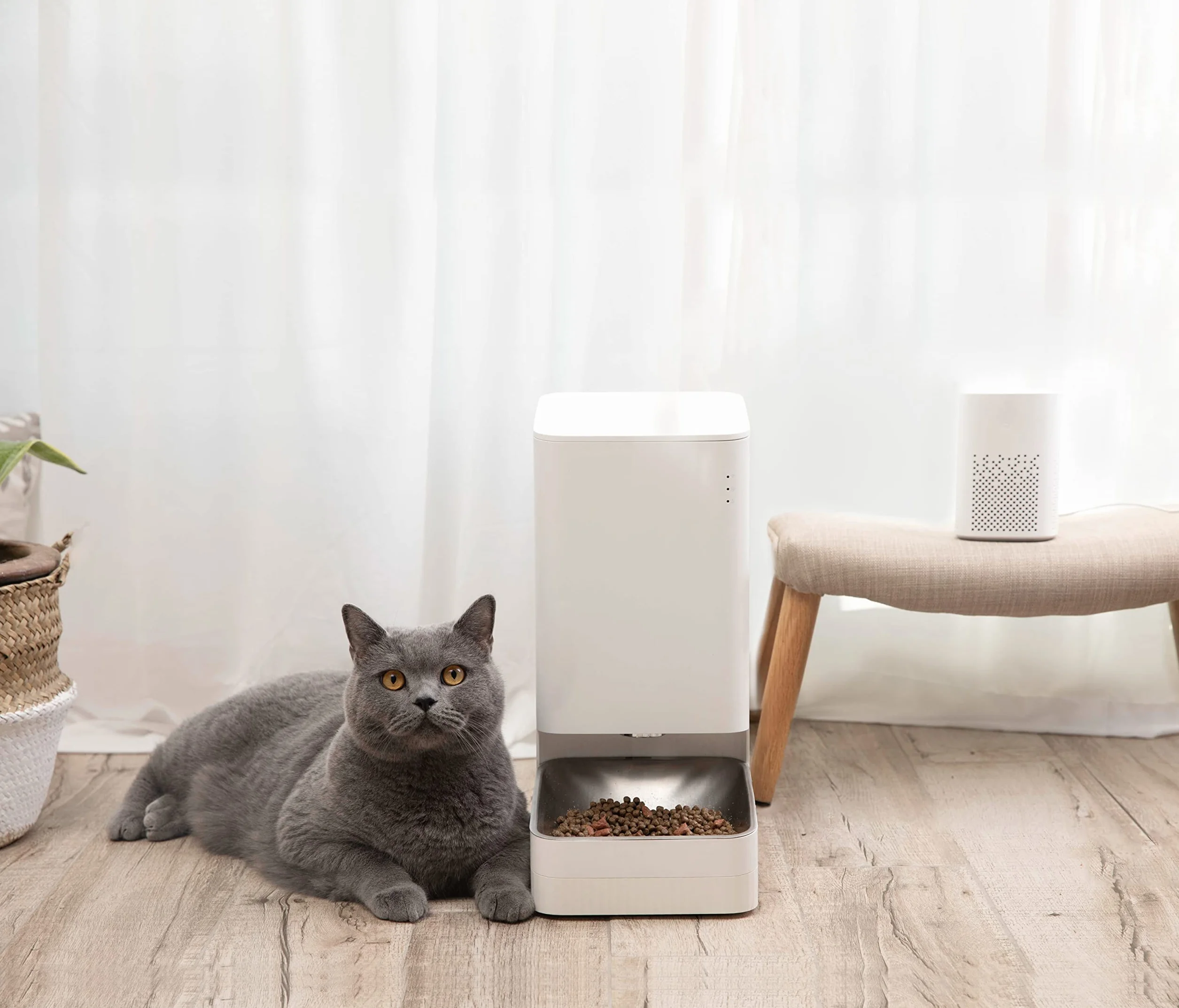 Xiaomi Smart Pet Food Feeder - Comedero automático para Perros y Gatos de pequeño y Mediano tamaño, dosificación automática con temporización, 1.8 Kg de alimento, hasta 20 días, App Xiaomi Home