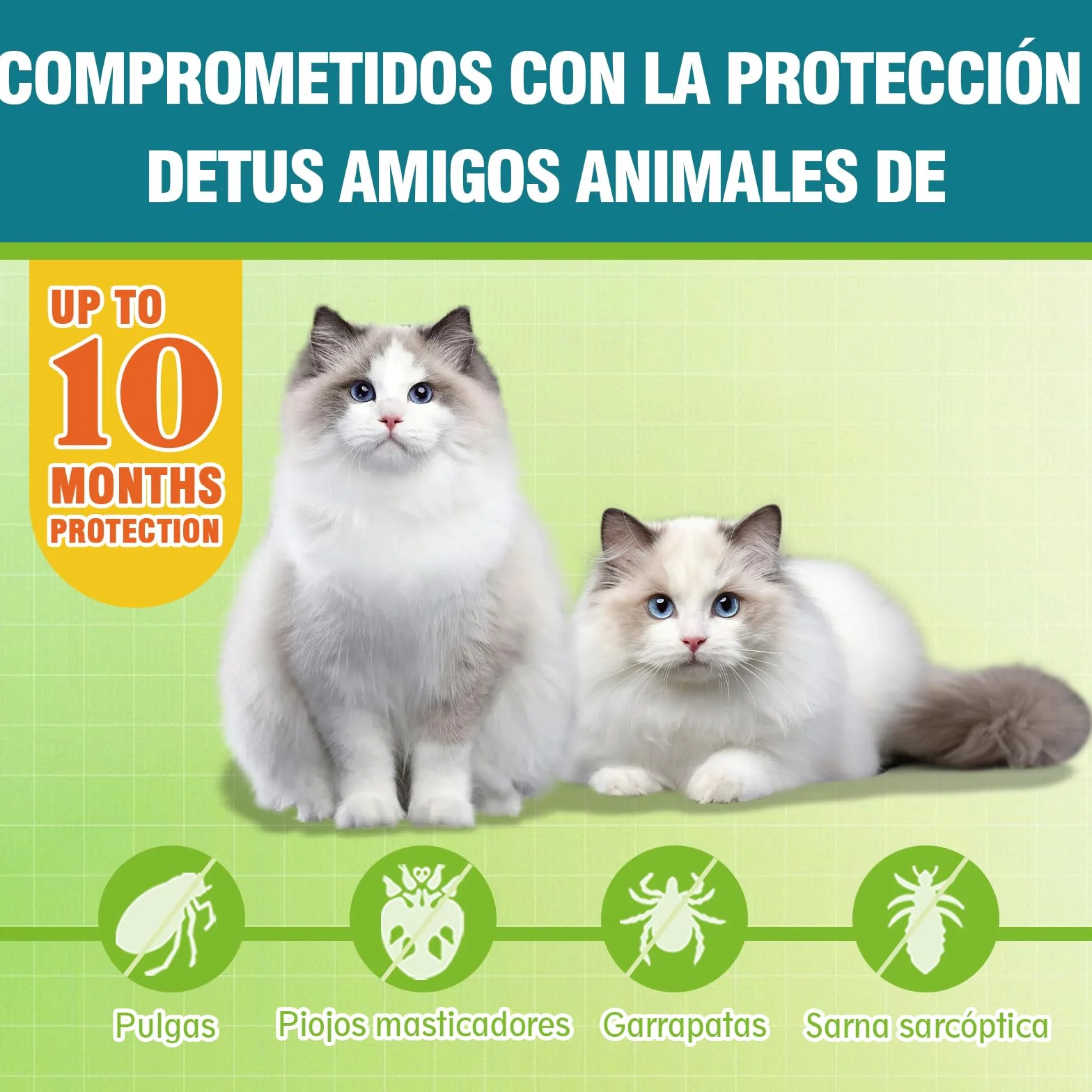 Collar Antiparasitario para Gatos, Collar Antipulgas y Garrapatas Ajustable, Gregado con Aceites Naturales, Impermeable, Apto para Todos Los Gatos,10 Meses de Protección