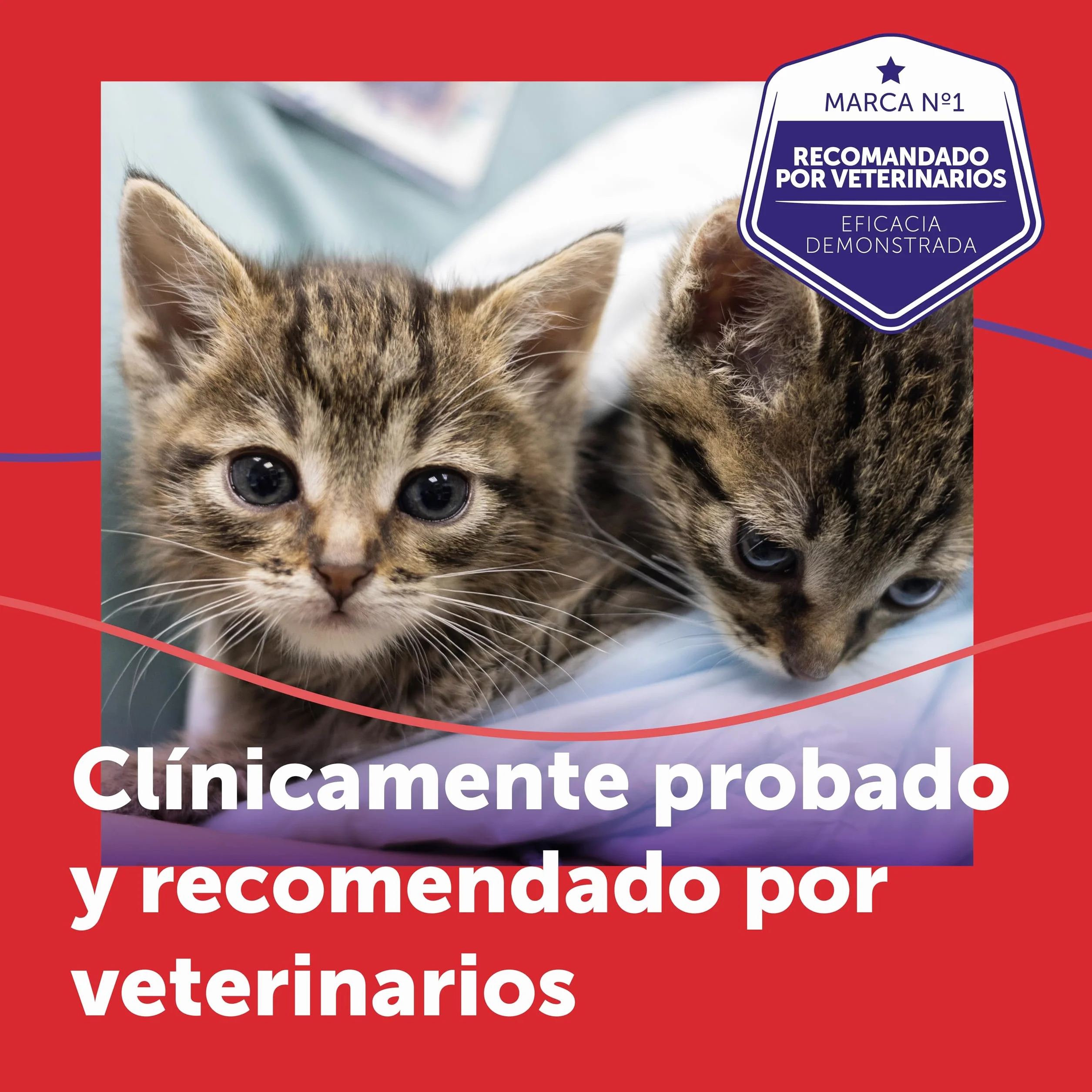 FELIWAY Friends - Pack Ahorro 3 recambios para 90 días (3x48ml) - Ayuda a crear armonía y a reducir conflictos entre gatos que viven juntos. Recomendado por veterinarios. Mejora la convivencia.