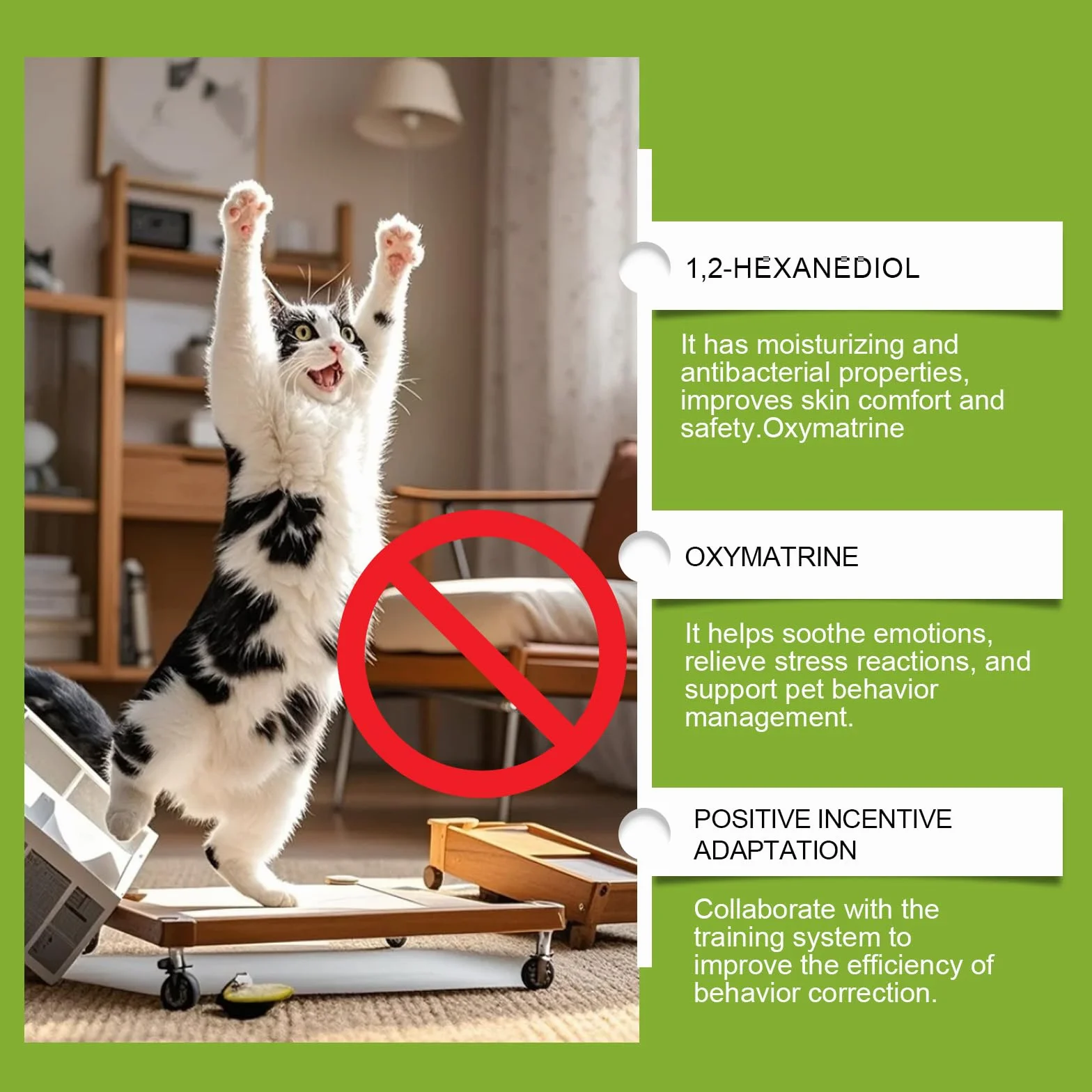 Spray Repelente Natural para Gatos,Spray Antiarañazos Sofa,Que Deja De Rascarse,para Interior Exterior Alfombra Sofá,100ML*2PC