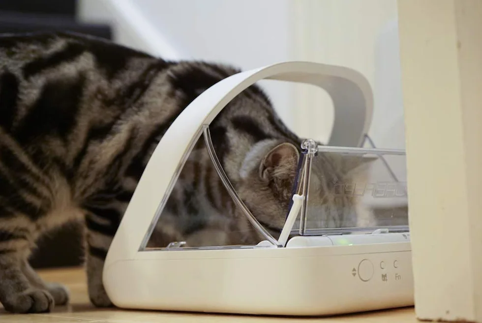 Comedero para mascotas SureFeed Sure Petcare con lector de microchip y tapa sellada, compatible con placas de identificación RFID, para comida húmeda y seca, blanco, necesita 4 pilas C (no incluidas).