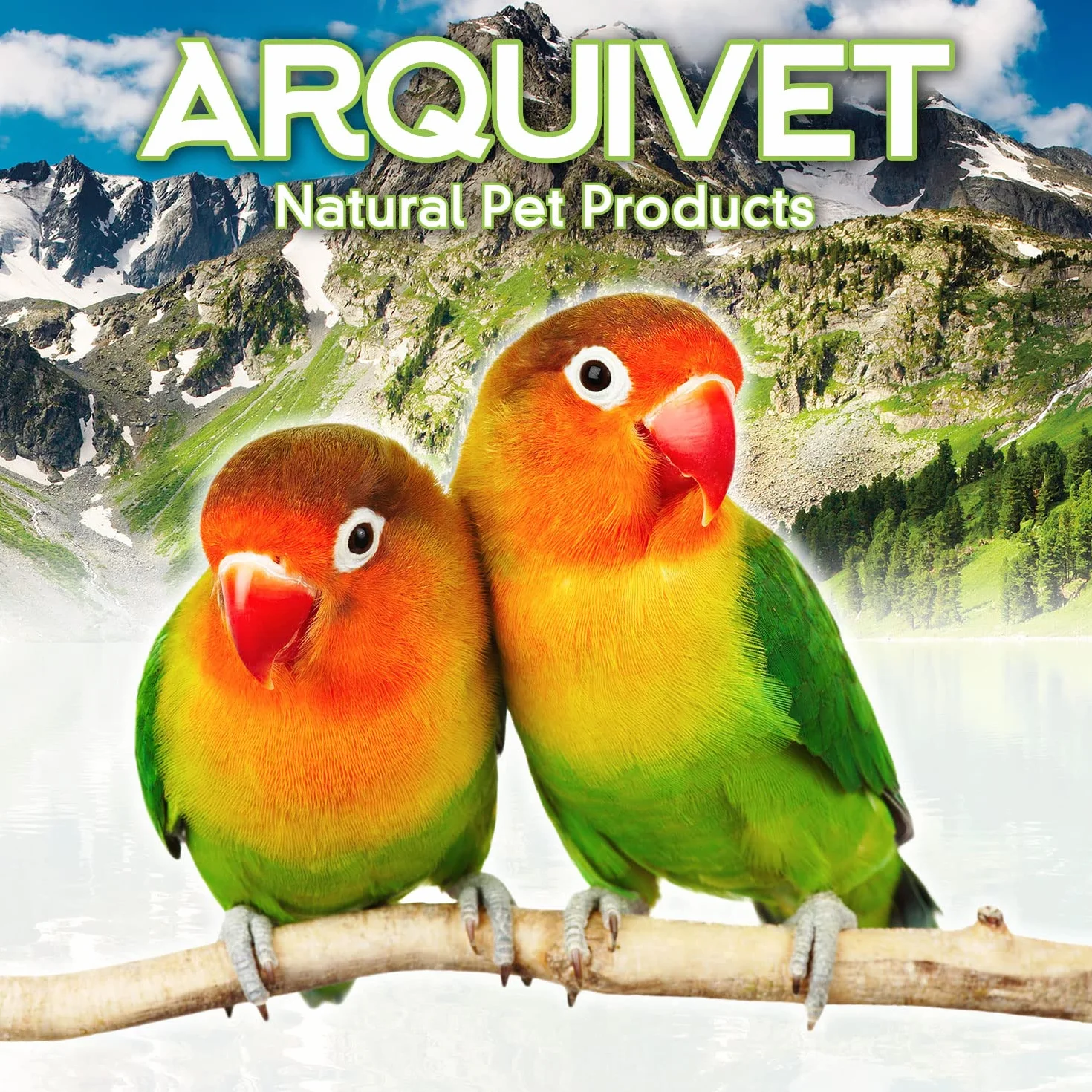 Arquivet Pasta Universal para Insectívoros y Frutívoros - Comida pájaros - 1 kg