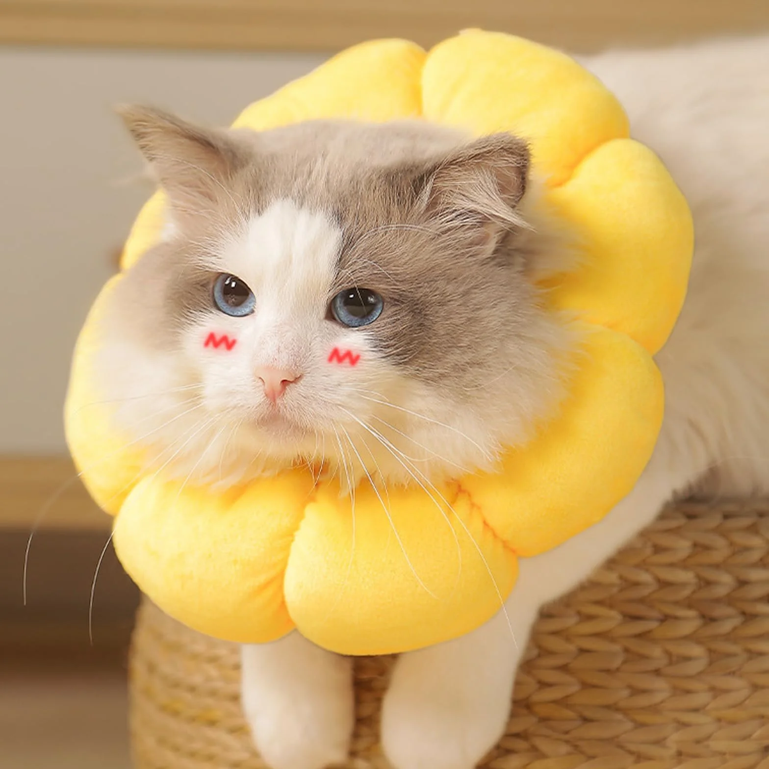Collarín Gato Ajustable para Pequeños Animales después de Cirugía, Suave Girasol Restauración